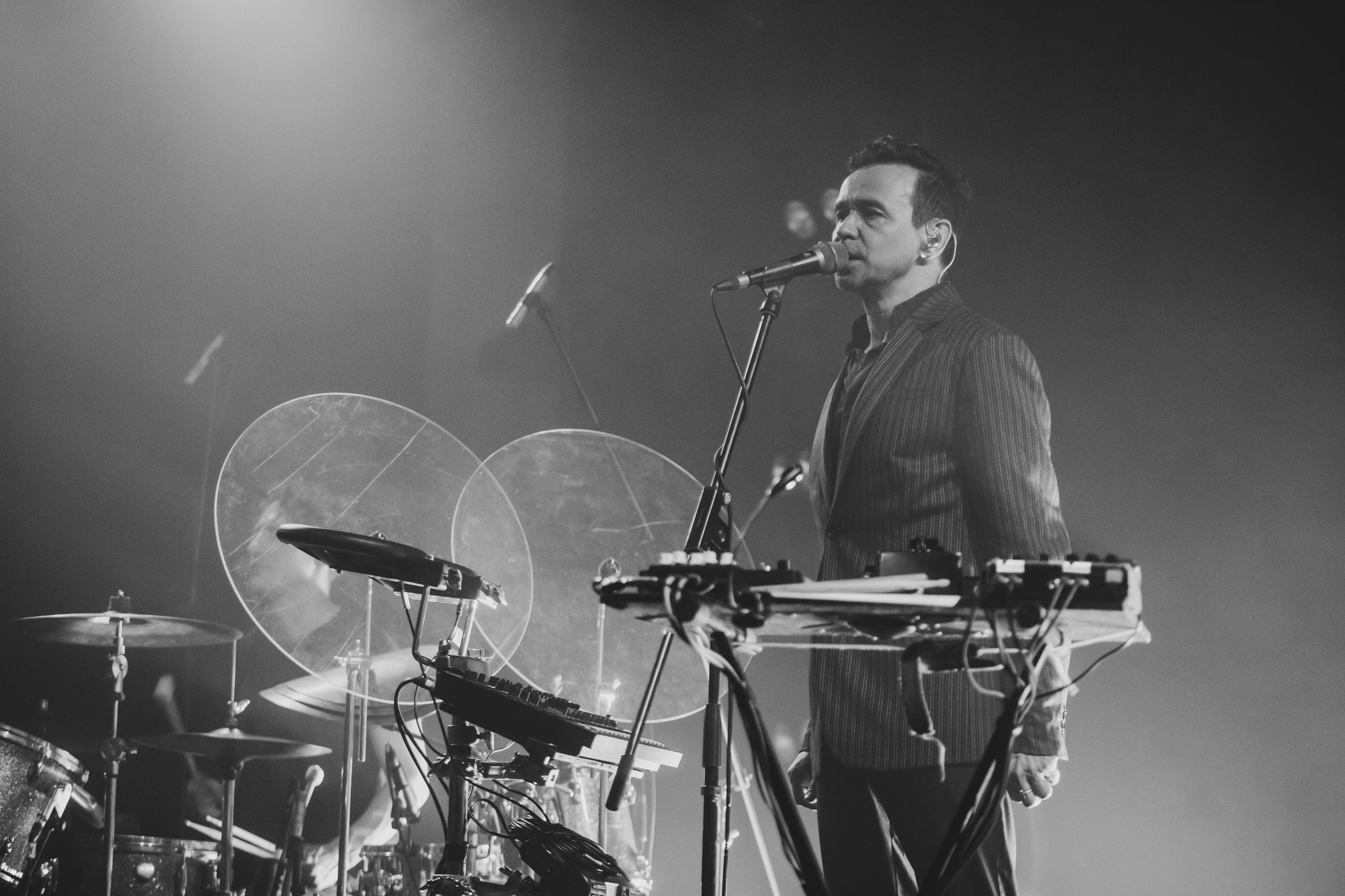 Дельфин. Репортажный фотограф Алексей Пирязев