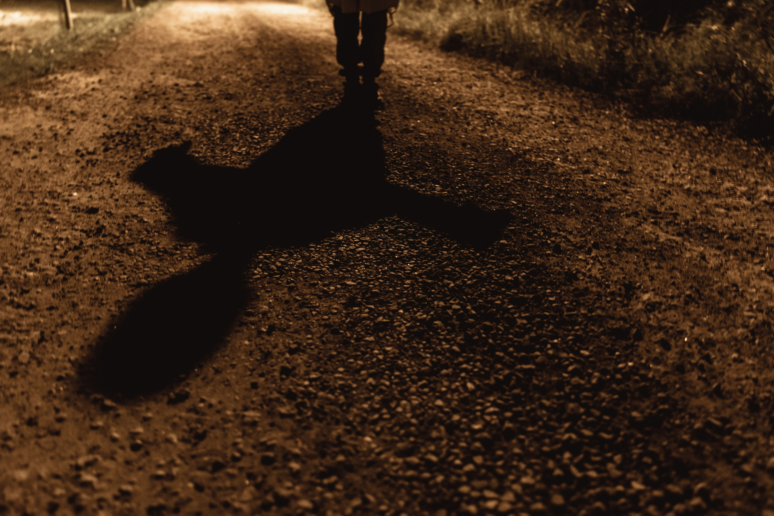 Даня. Творческий фотограф в Москве Наталья Ермолова