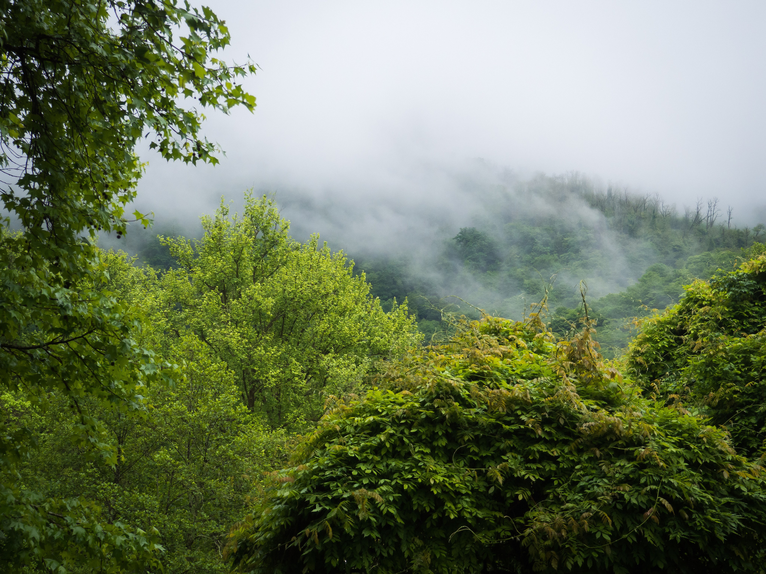 Природа. Фотограф и оператор Роман Фадеев в Екатеринбурге