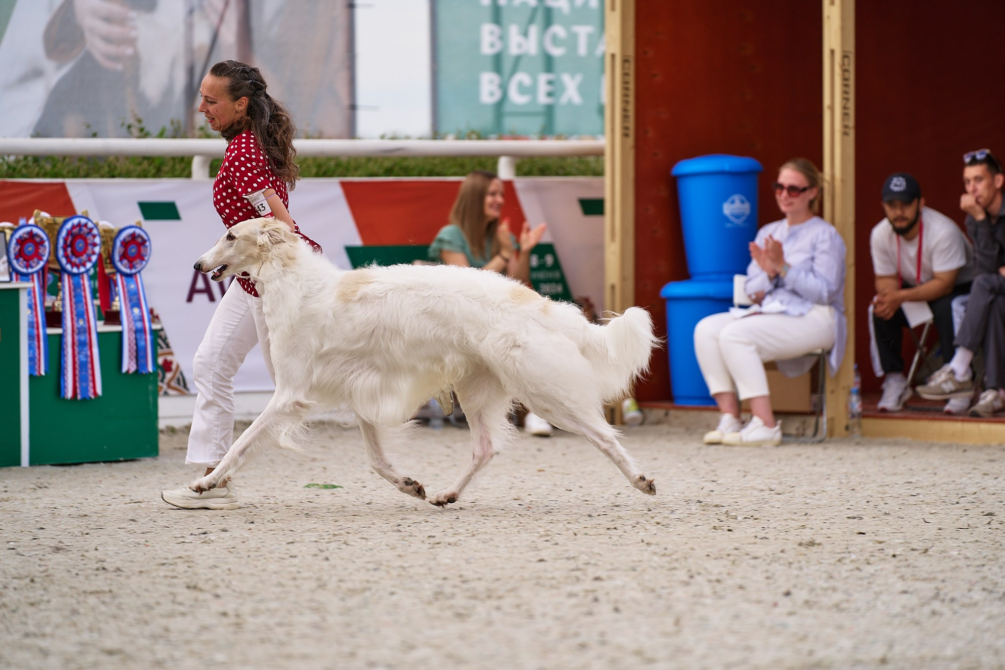 09.06.2024, «РОССИЯ. КУБОК МОСКВЫ 2024 & КУБОК ГОРОДОВ-ГЕРОЕВ»