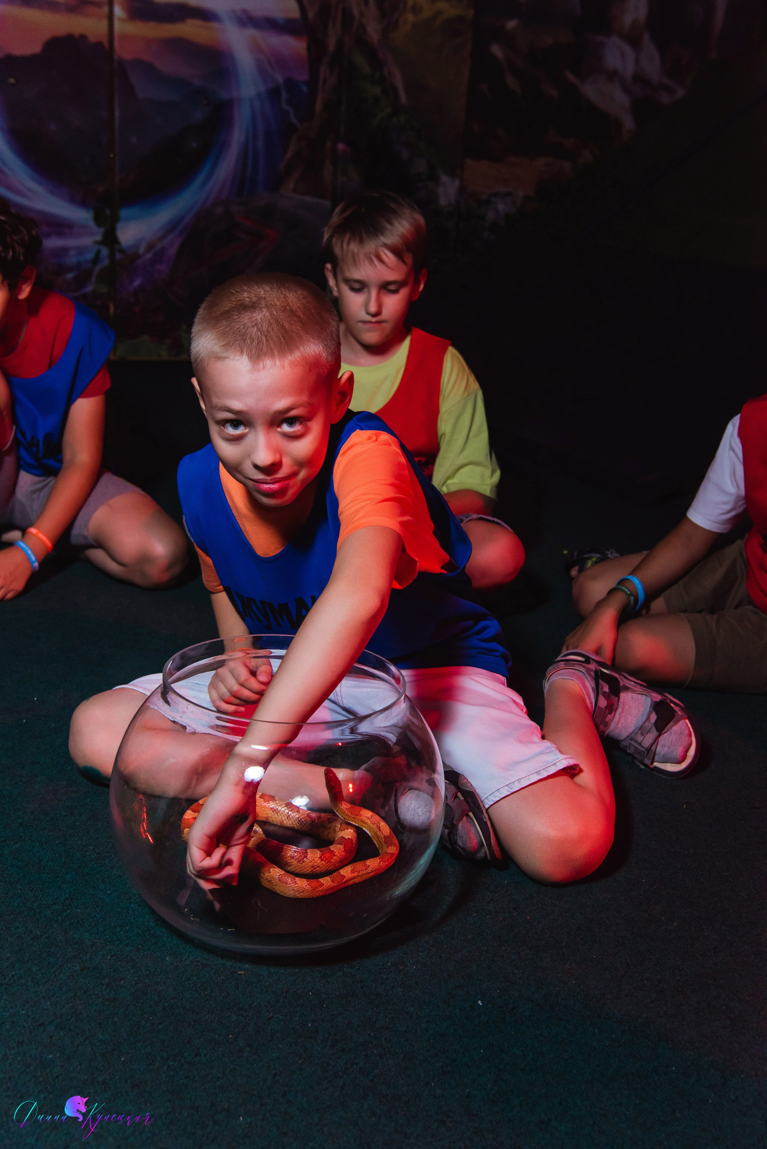 День Рождения Арсения. «Джуманджи Красногорск». Свадебный и арт-фотограф Кунецкая Диана