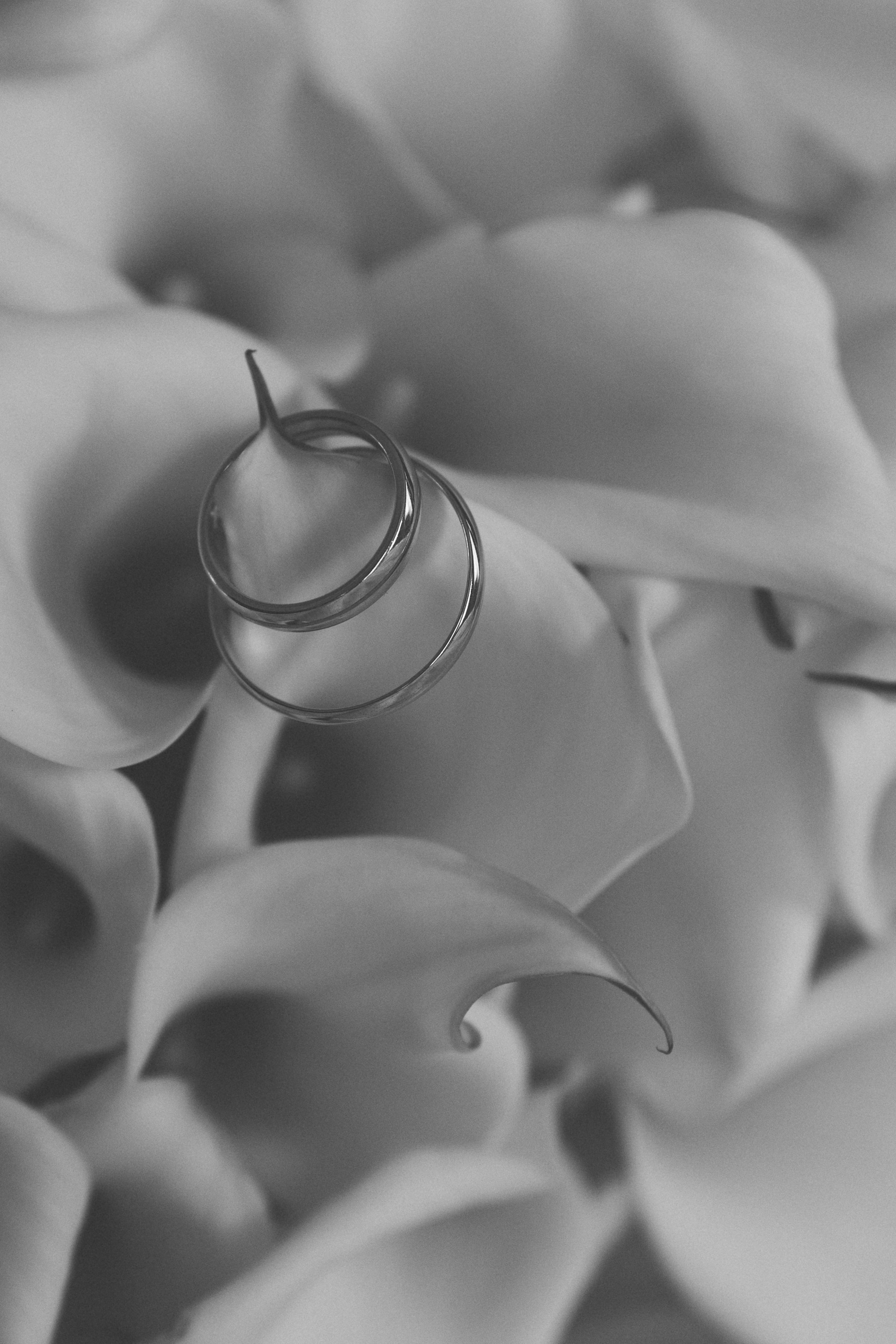 Сборы. Фотограф в Москве Мария Терентьева