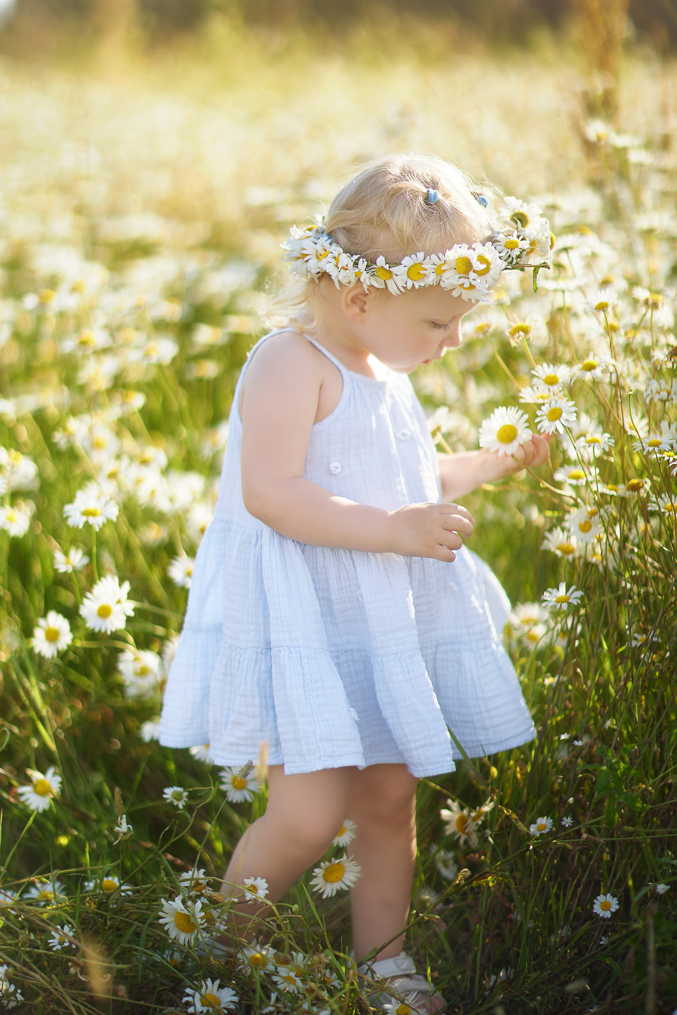 Семейная фотосессия в ромашках. Семейный и свадебный фотограф в Москве Пушкино Элеонора Янбухтина
