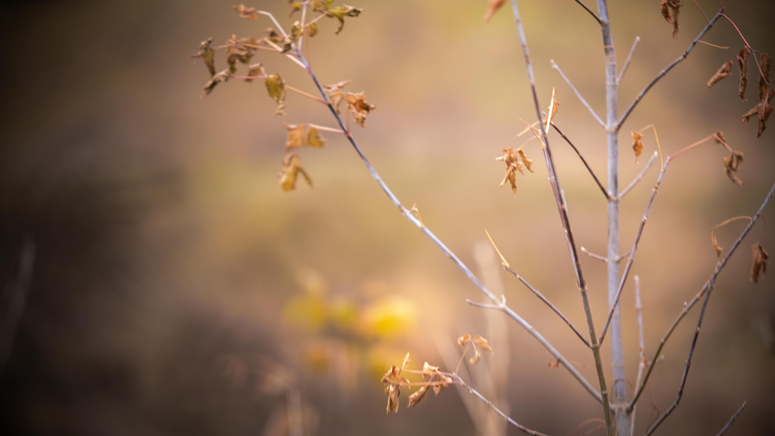 Винтажная прогулка. KRUTOVA_фотографирую жизнь
