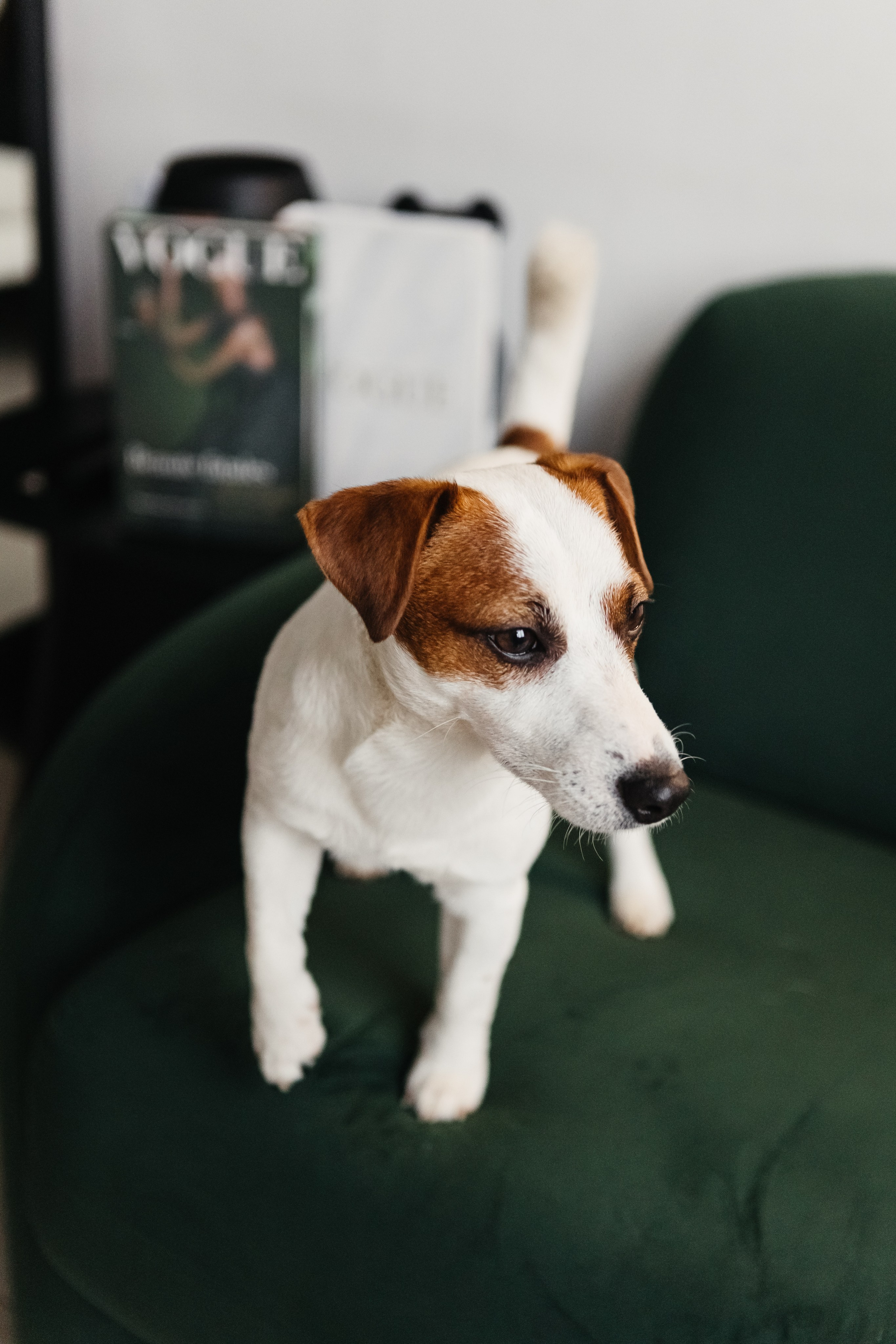 2024.03.24 Танюша, Руслан и Боба. Ирина Бешляга. Фотограф в Москве и по всей России