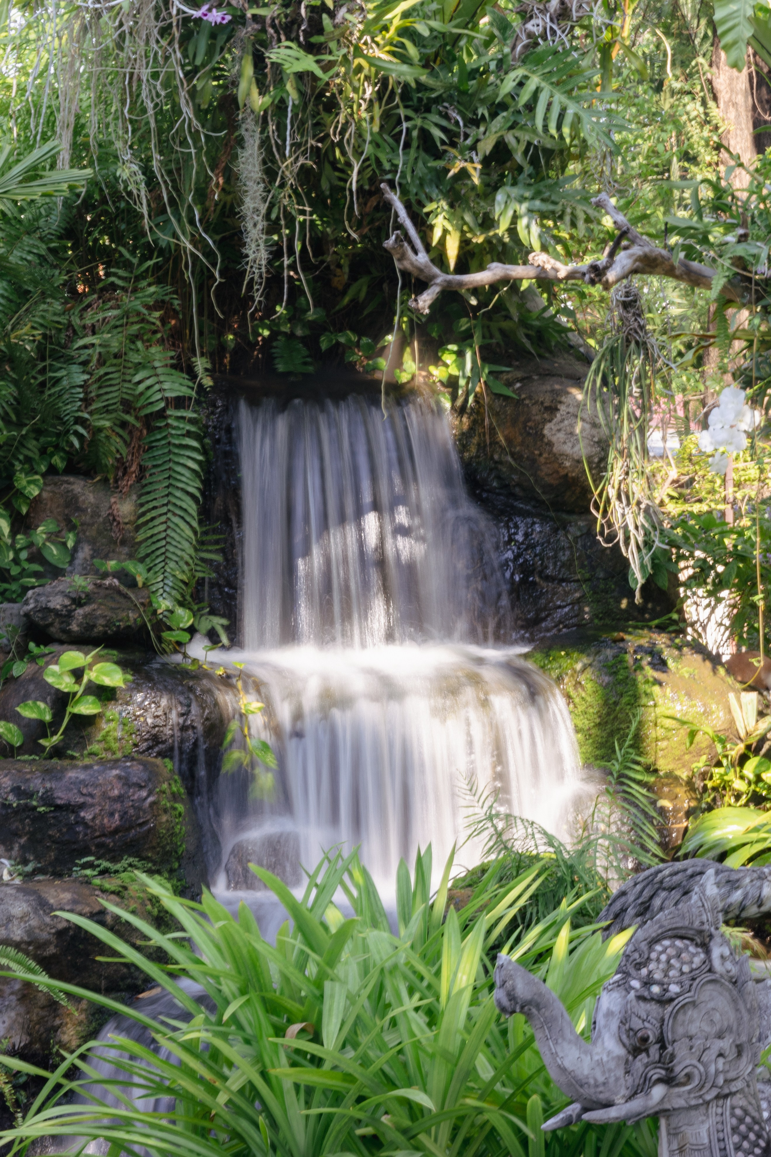 Bangkok. Фотограф Сонкина Татьяна