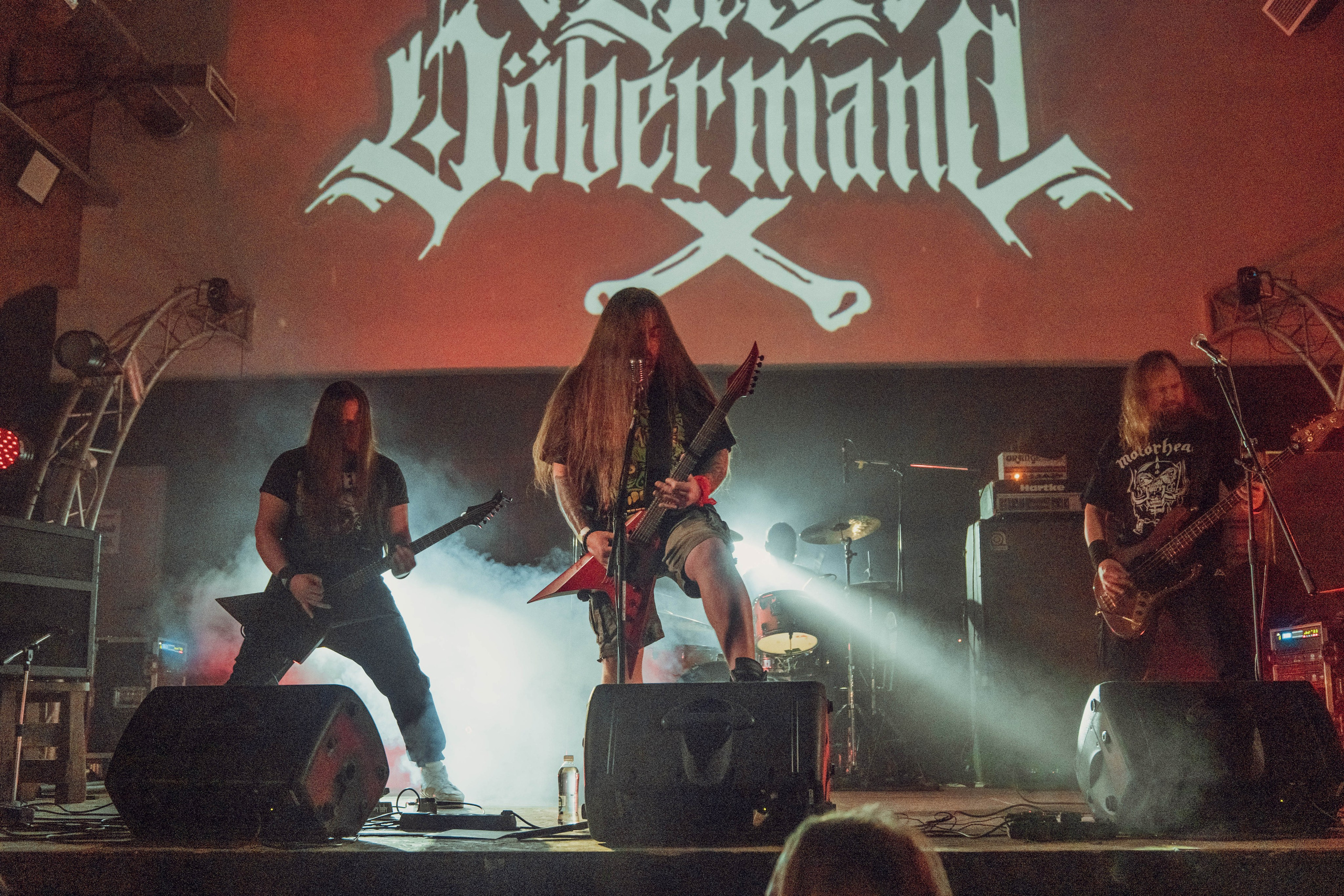 Der Döbermann 26.01.2024. Фотограф Дядя Сник