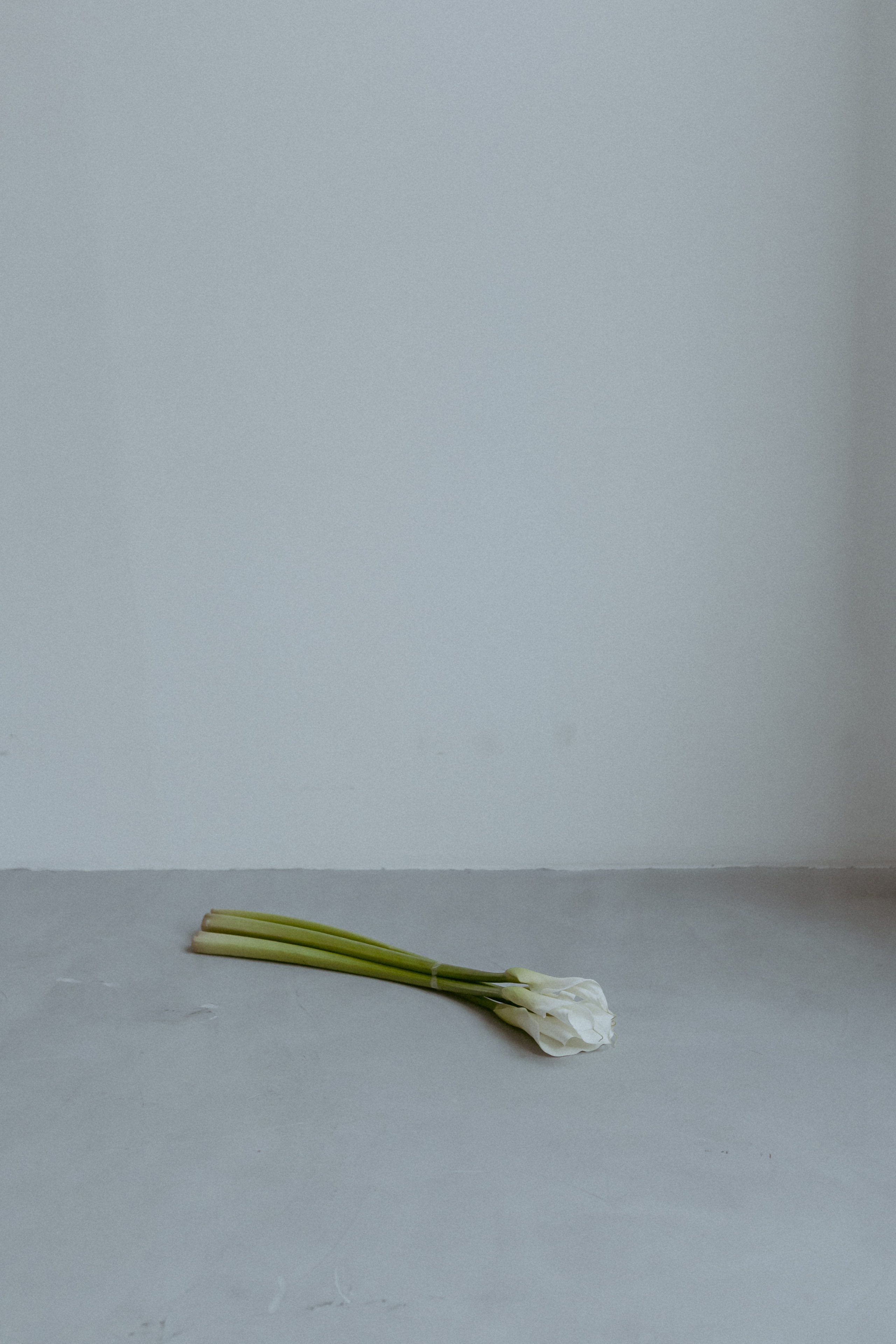 Анна. Фотограф в Москве (готова приехать к вам в город)