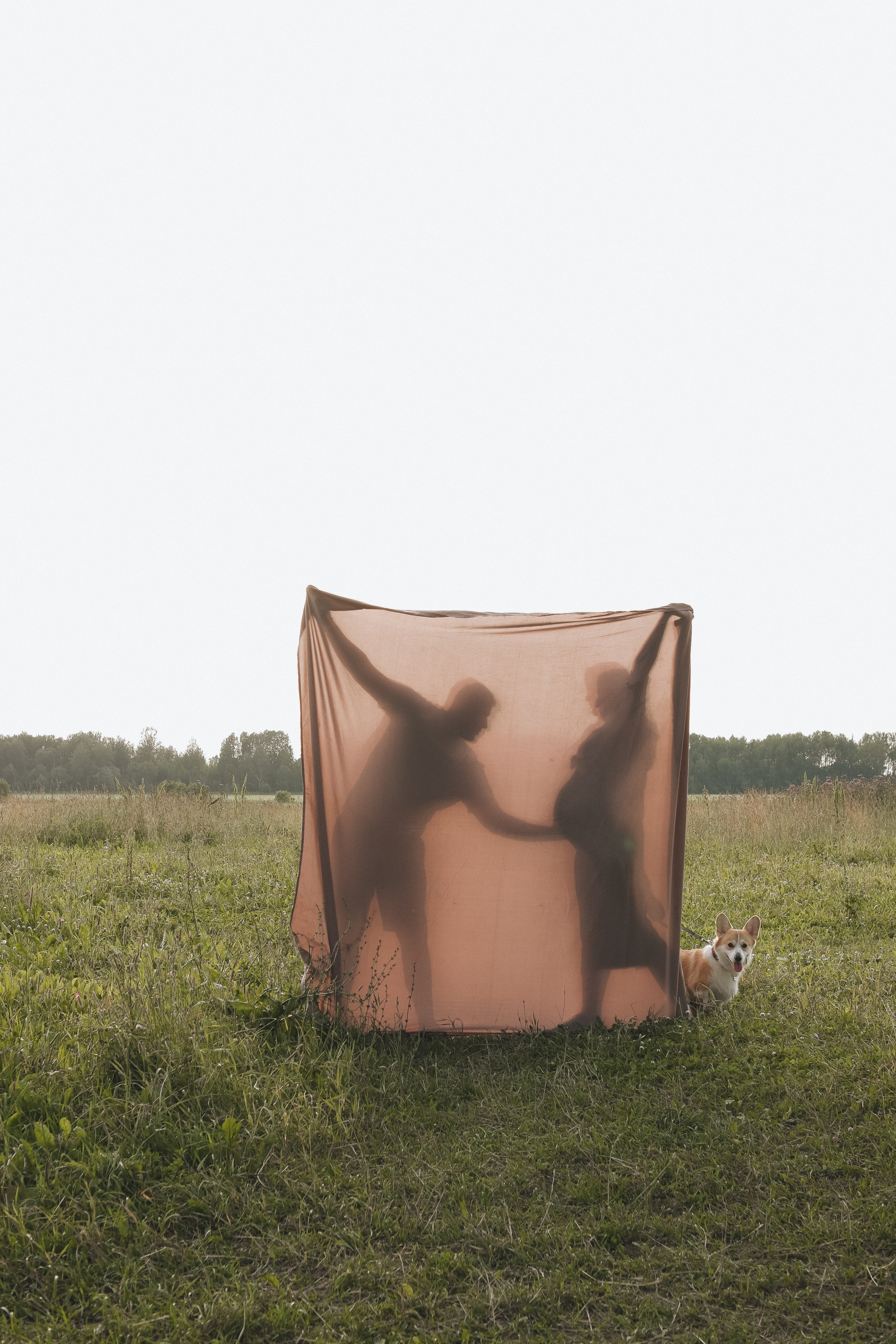 Софа, Женя, Честер и +1