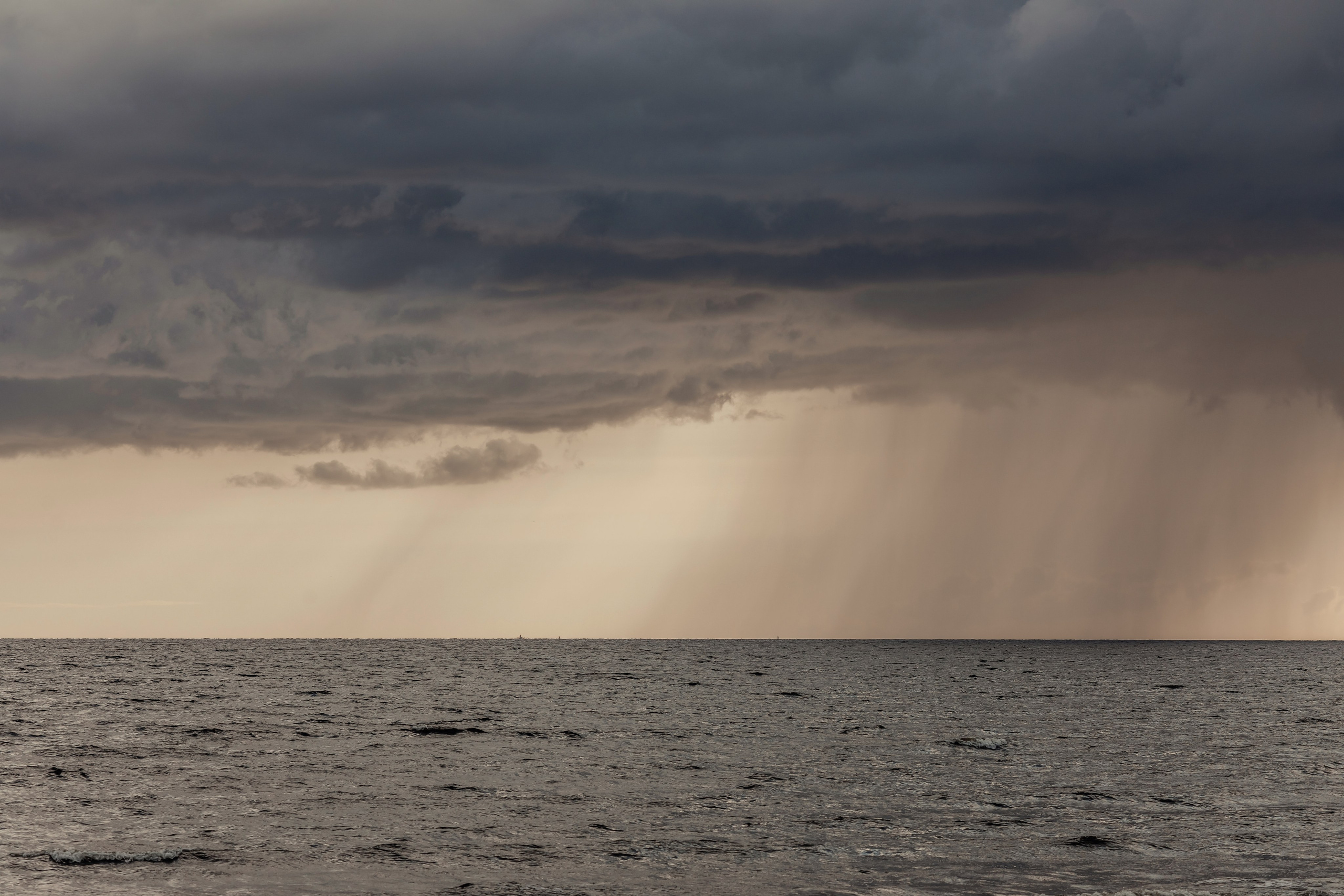 Фотосессия в Репино. Детский и семейный фотограф Муксимова Ирина