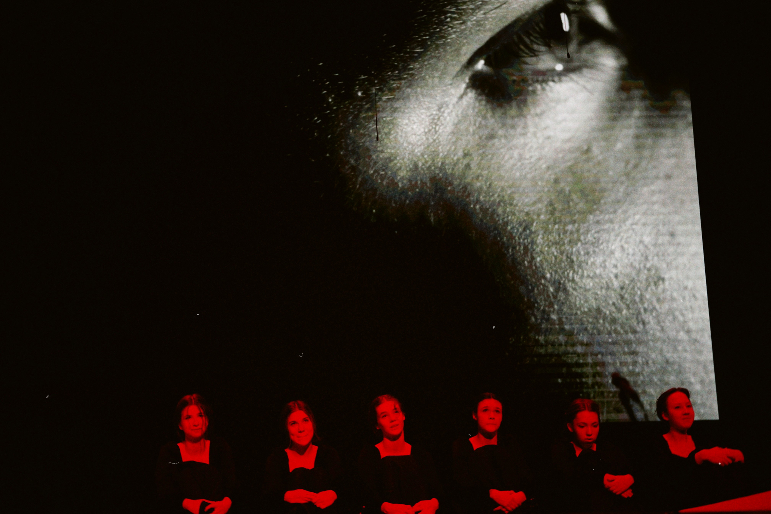 Концерты. Фотограф Арина Жирякова