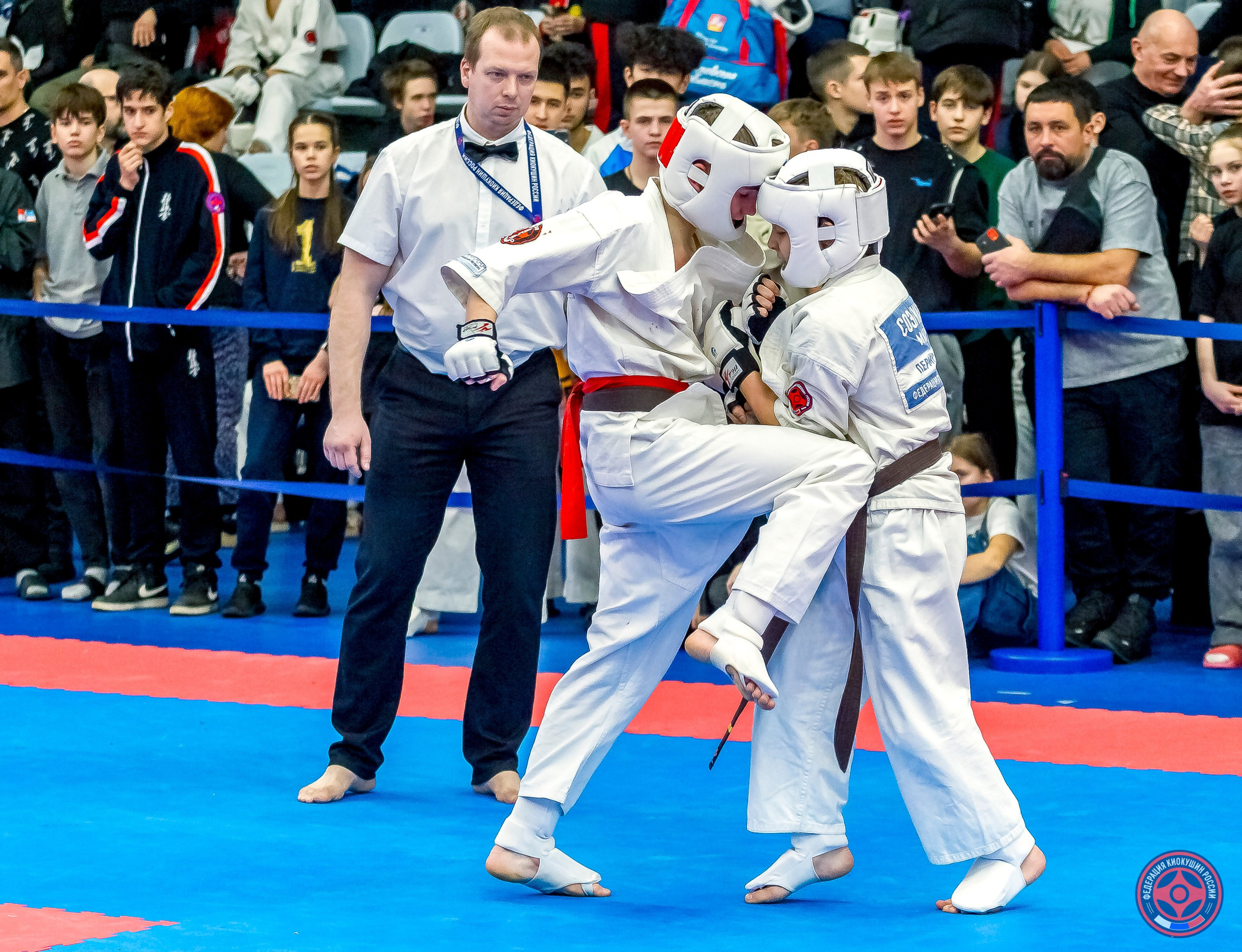 Международный турнир по киокушин «Открытый кубок Seiken». Репортажная съемка в Москве и области. Анималистика