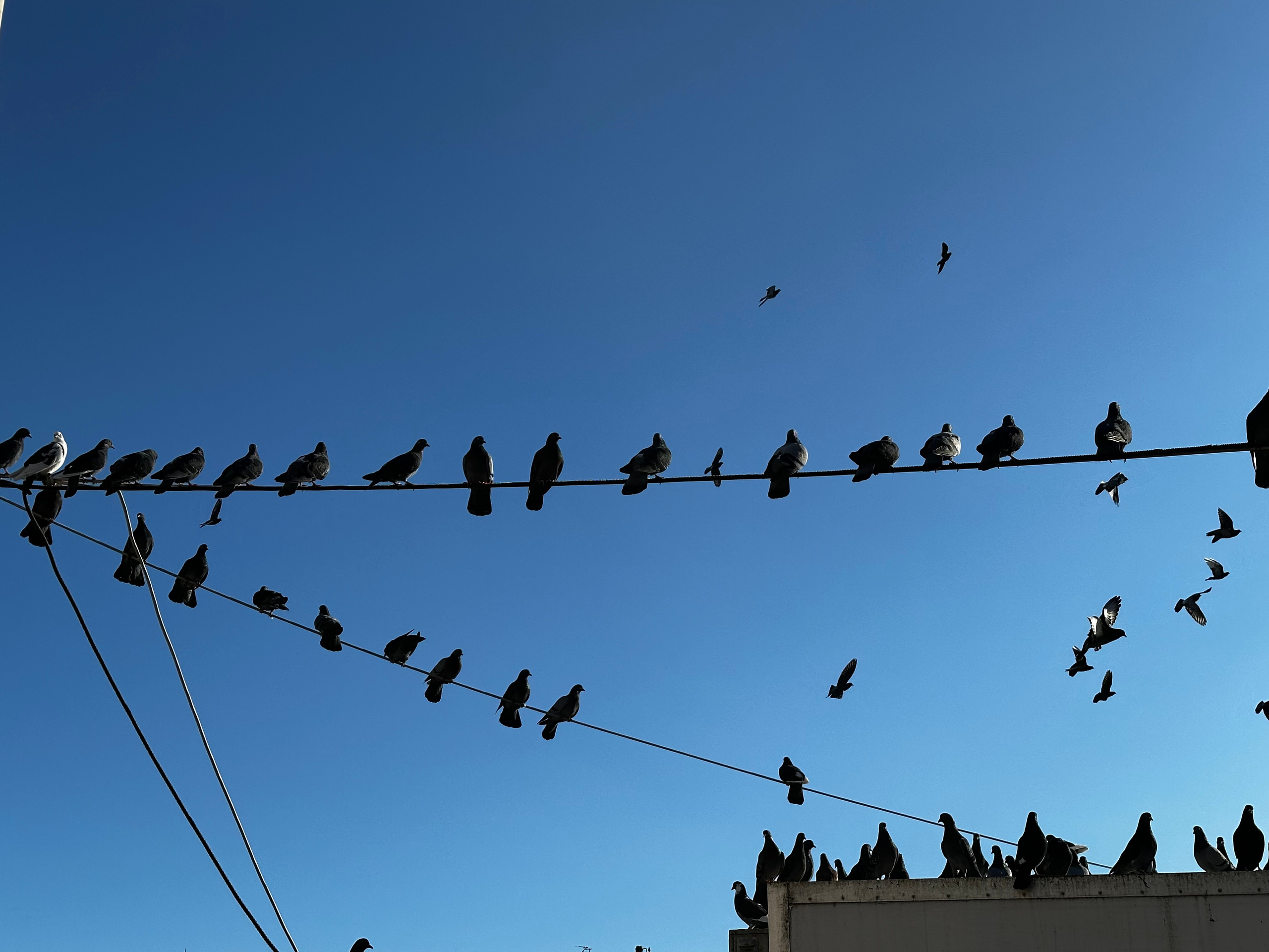 Город. Контент-мейкер @vsnigirev