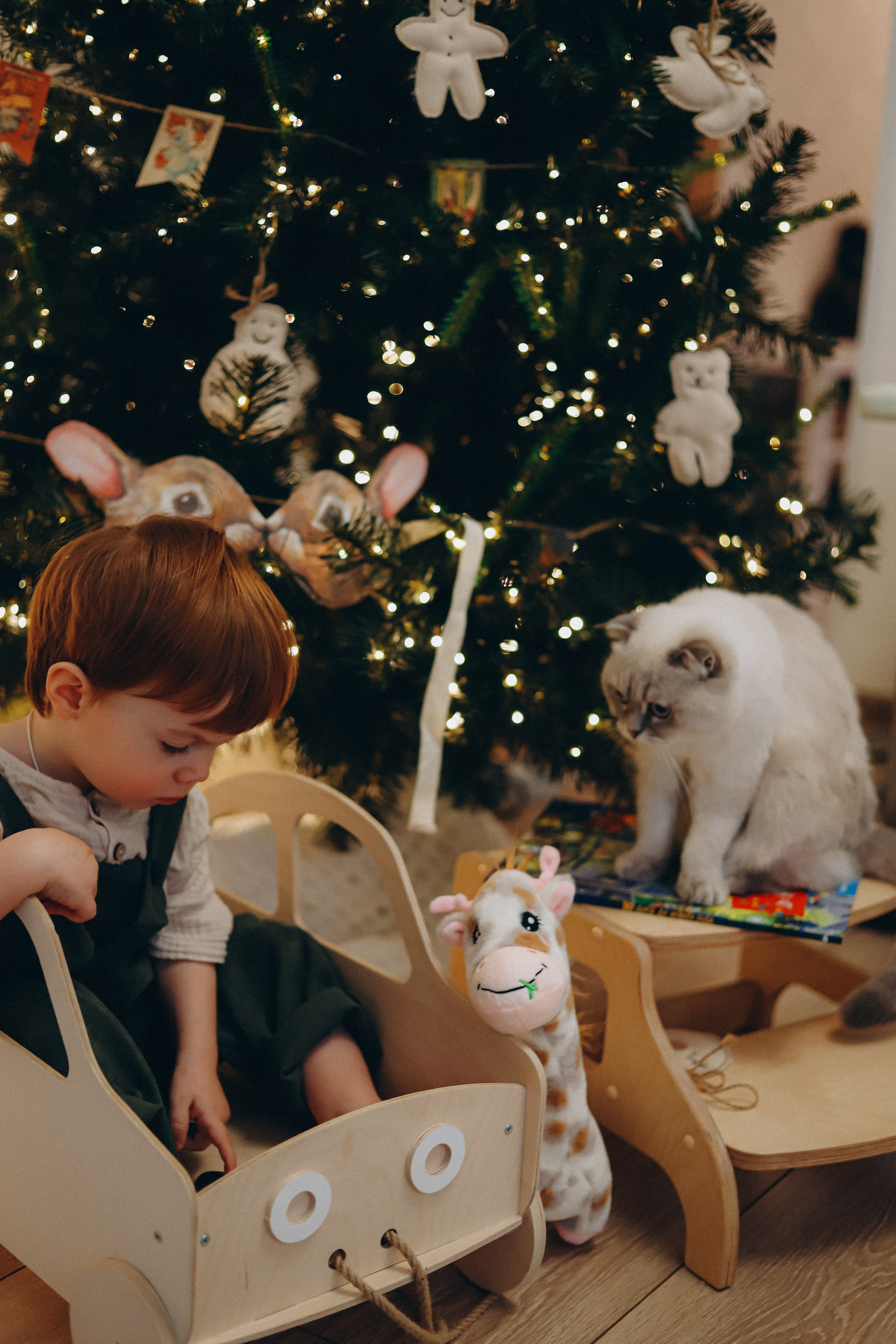 Домашняя новогодняя история. Алексей+Ксения+Дима. Услуги