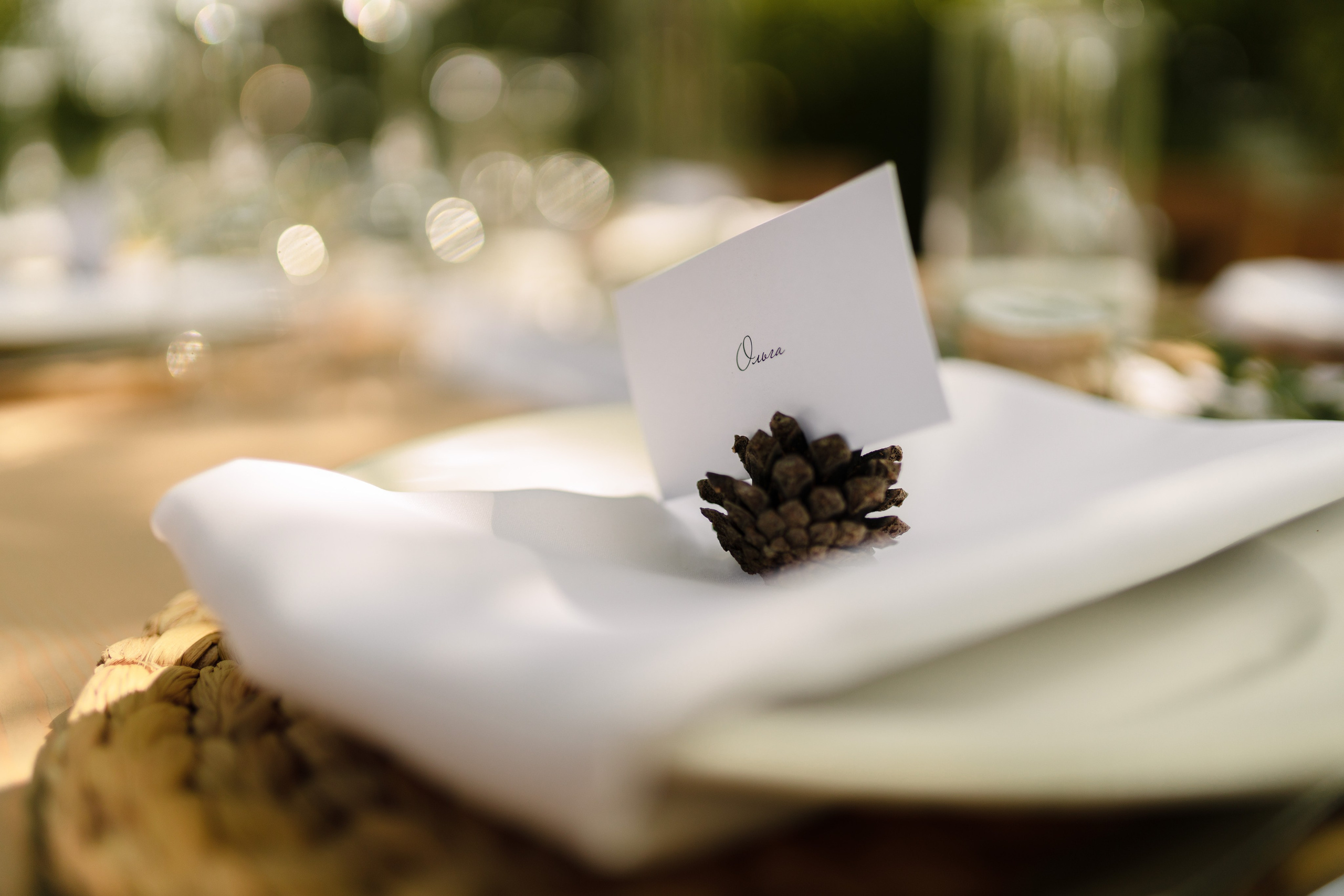 УСАДЬБА ГАНКА. Cheta Kovalevsky фотографы