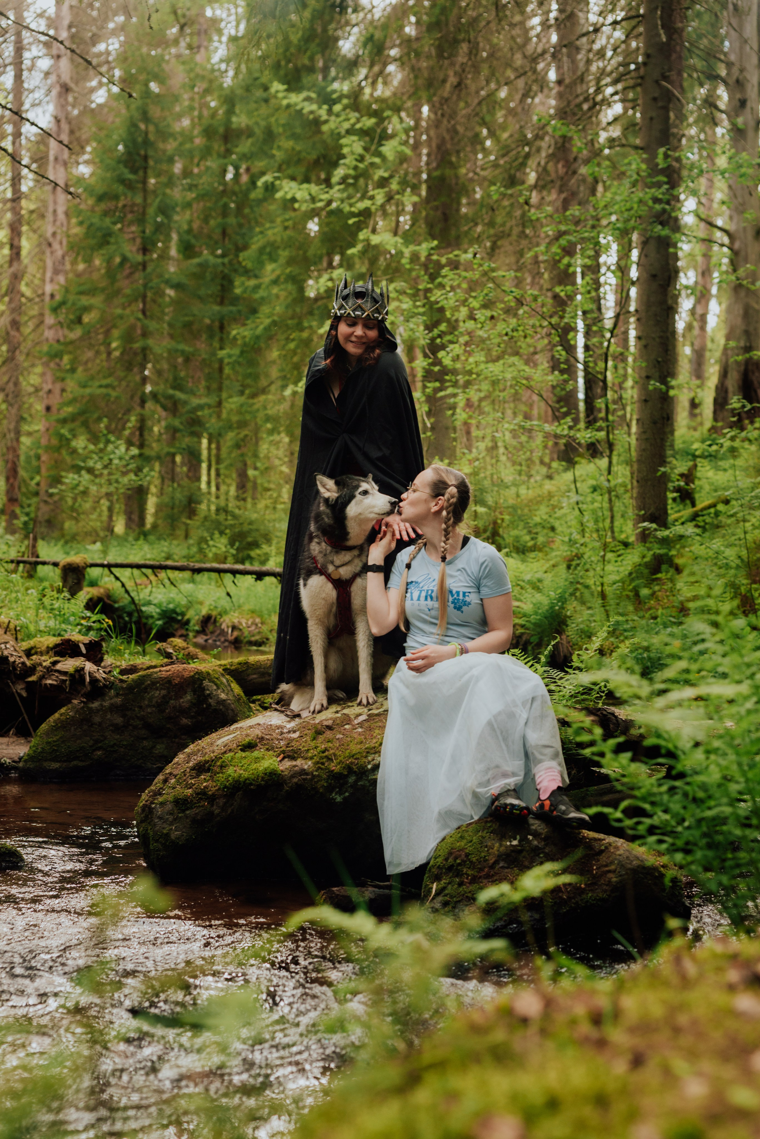 Догтрекинг. Фотограф в Санкт-Петербурге и Ленинградской области