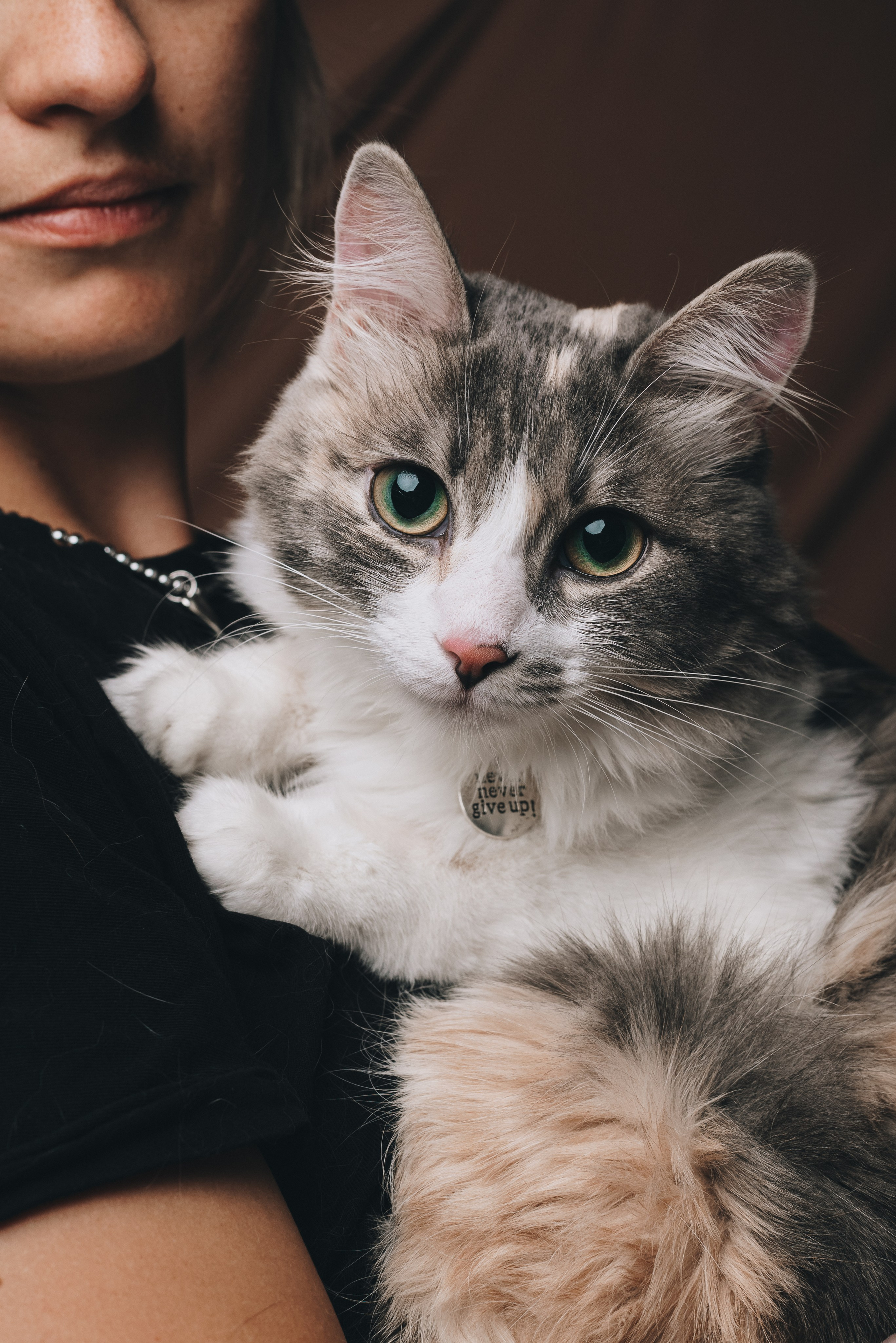 Lena, Malvina & Shira. Natalia Finch Photography — Family, Kids & Pet Photographer in Chicago, IL