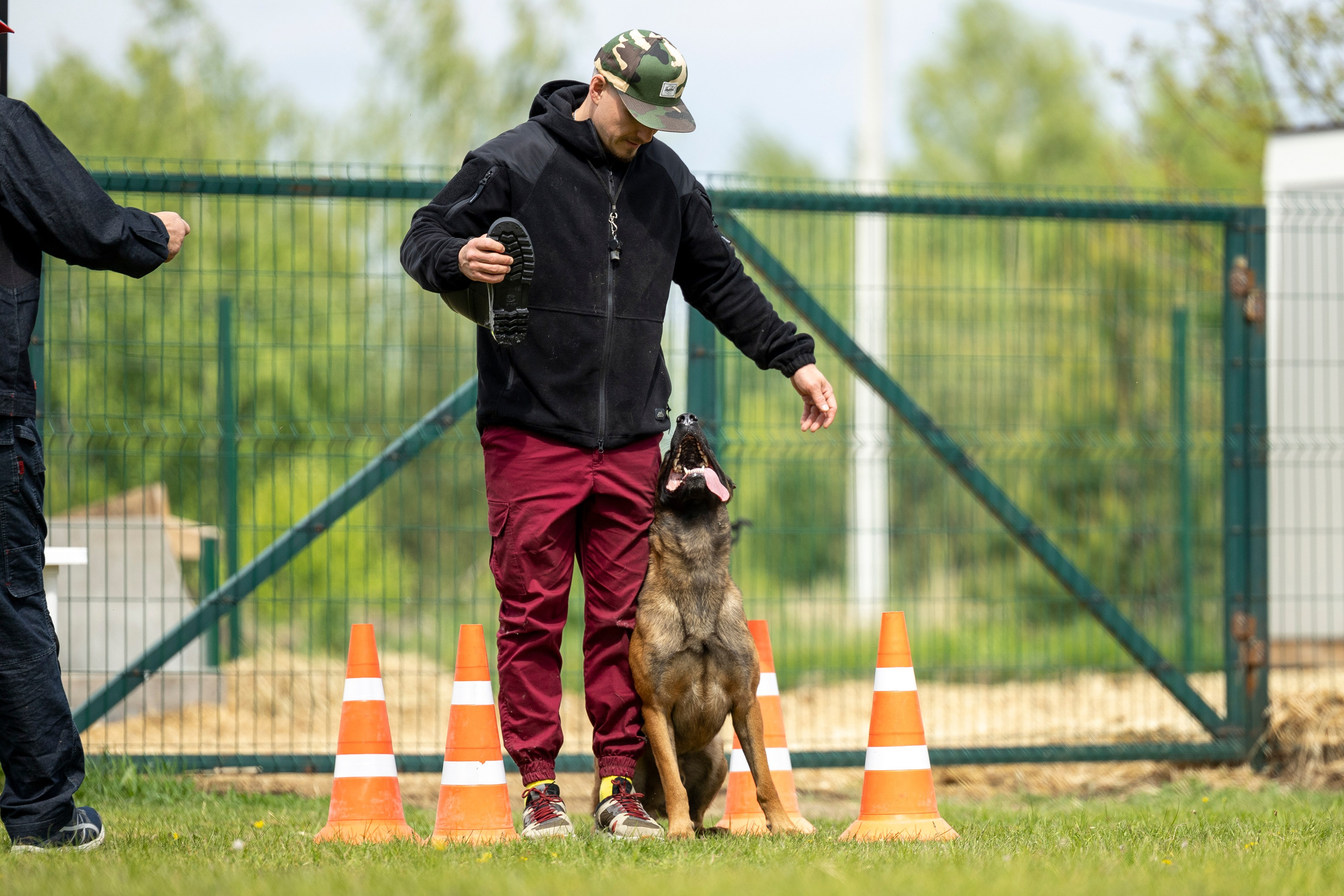Испытания по мондьорингу в Нижнем Новгороде. Фотограф-анималист Анна Маринич