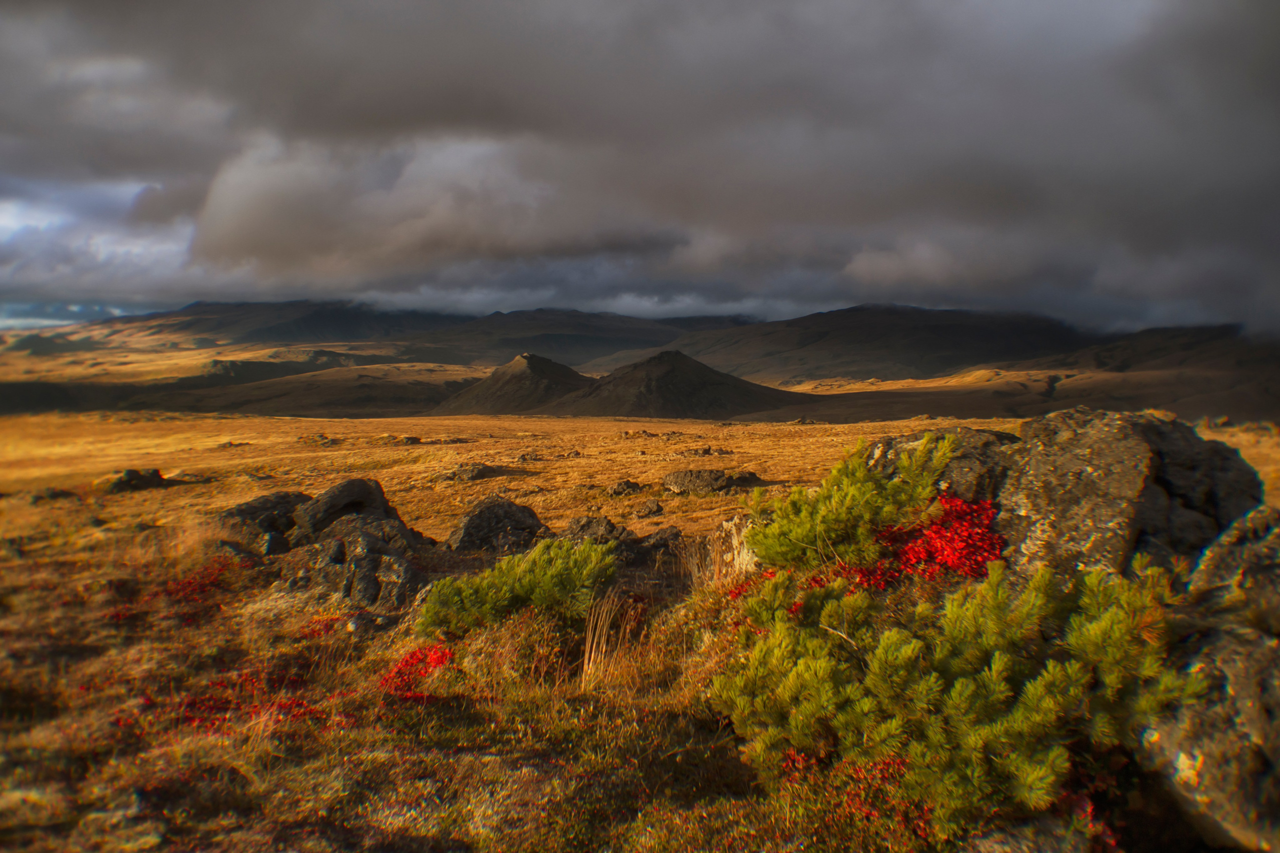 Камчатка. Портретный фотограф в Челябинске Катерина Руди