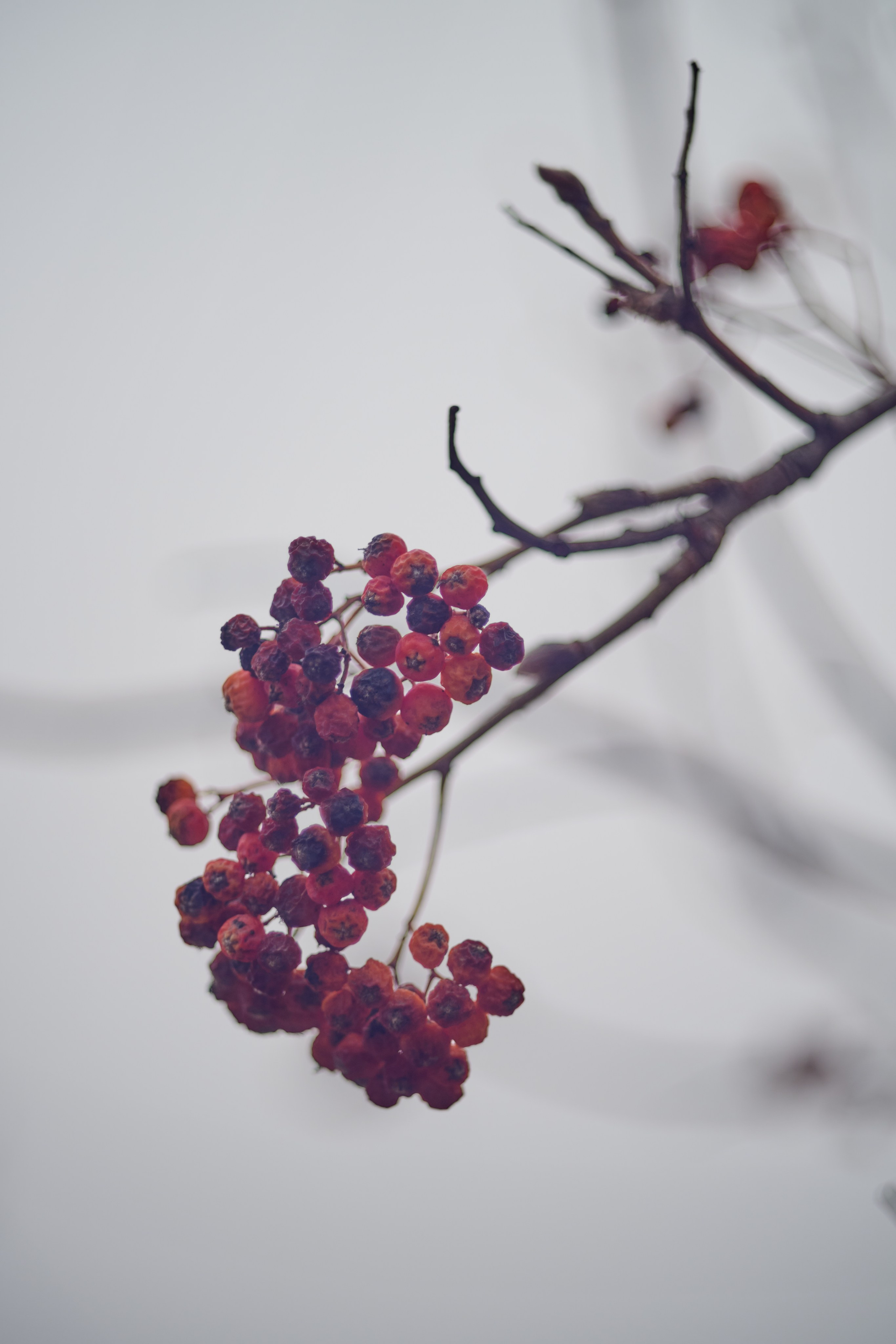 Лисичанск. Луганская область. Фотопроект «Территории»