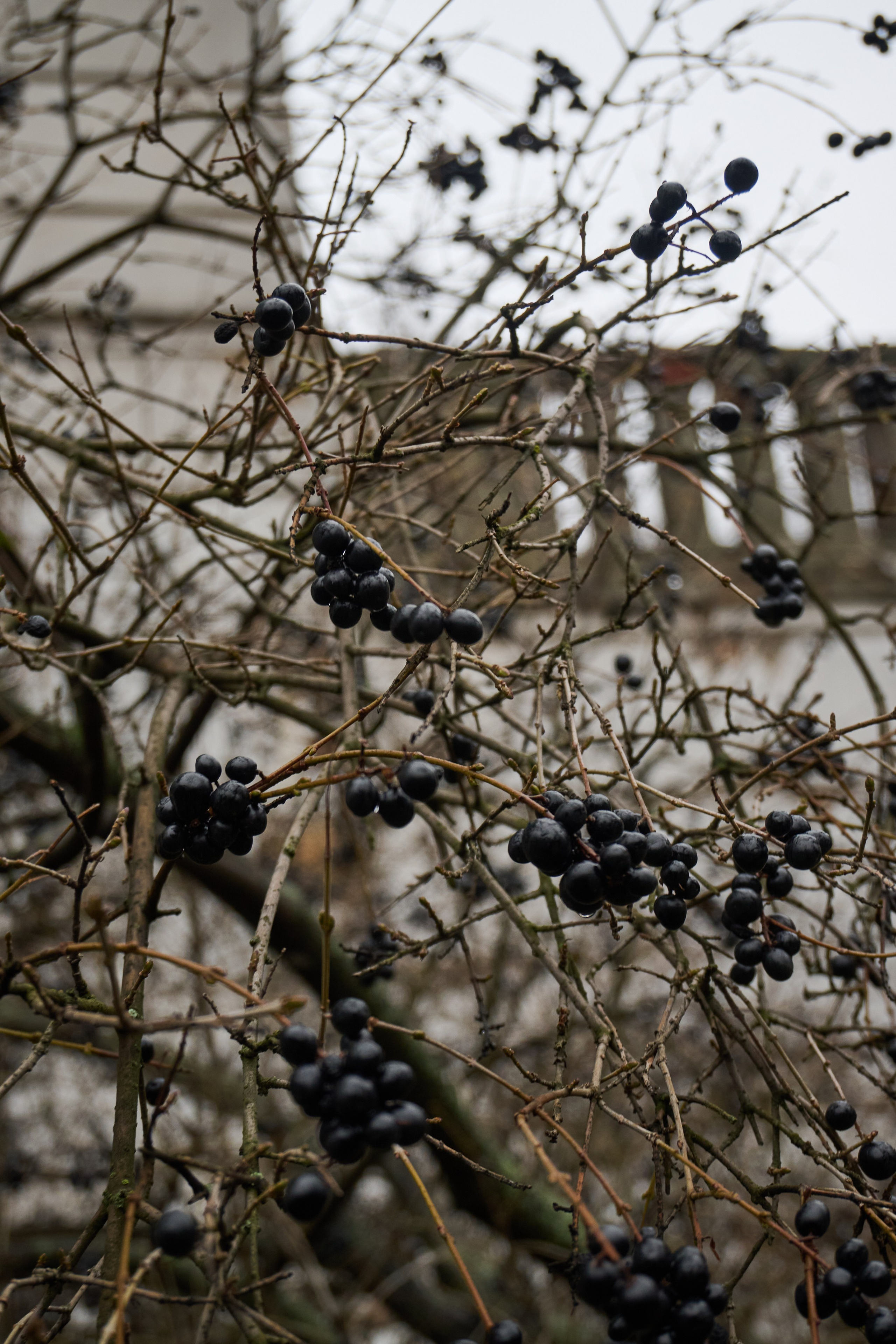 Донецк. Январь 2026. Фотопроект «Территории»