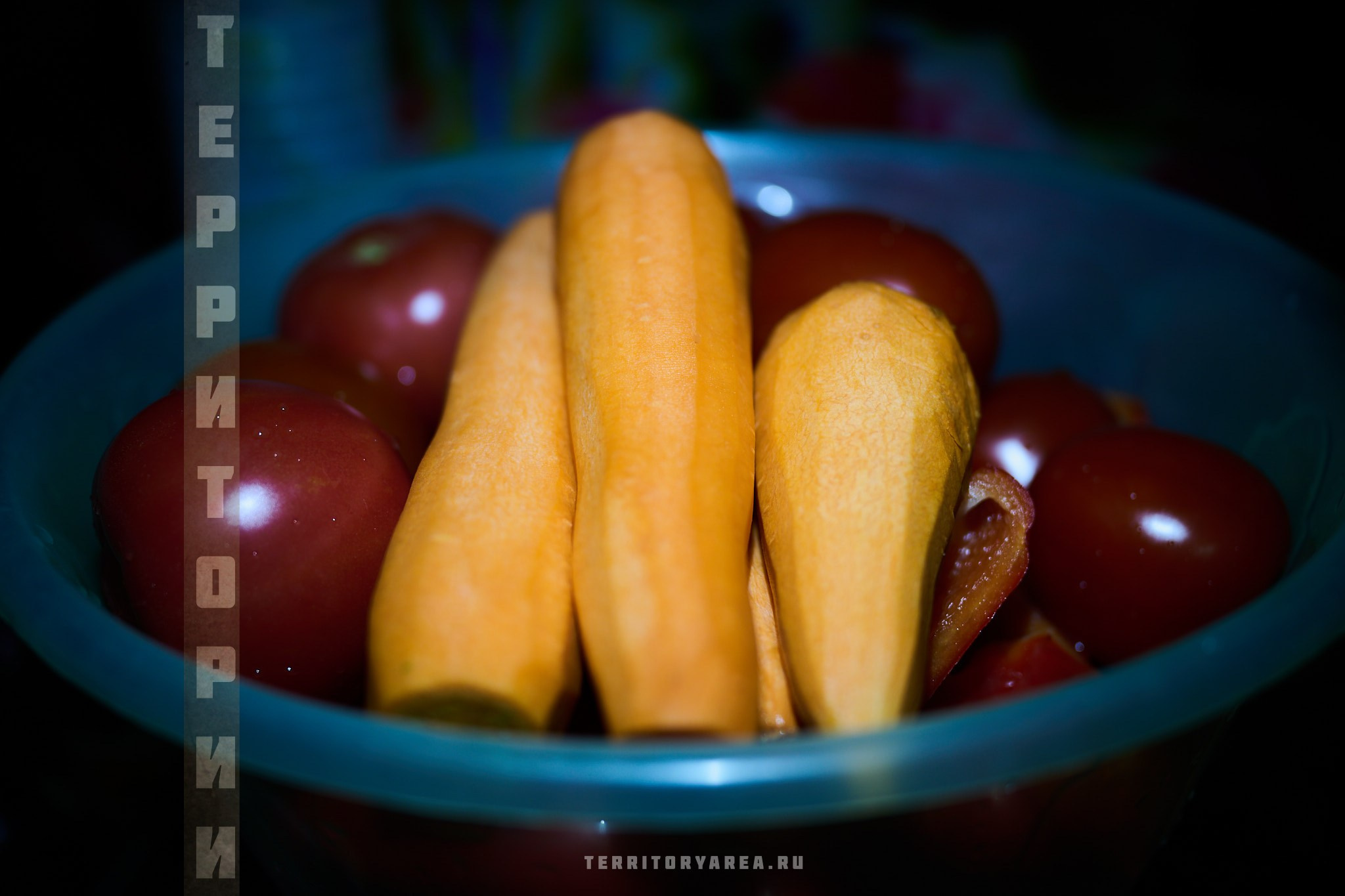 Открытки фотопроекта «Территории». Фотопроект «Территории»