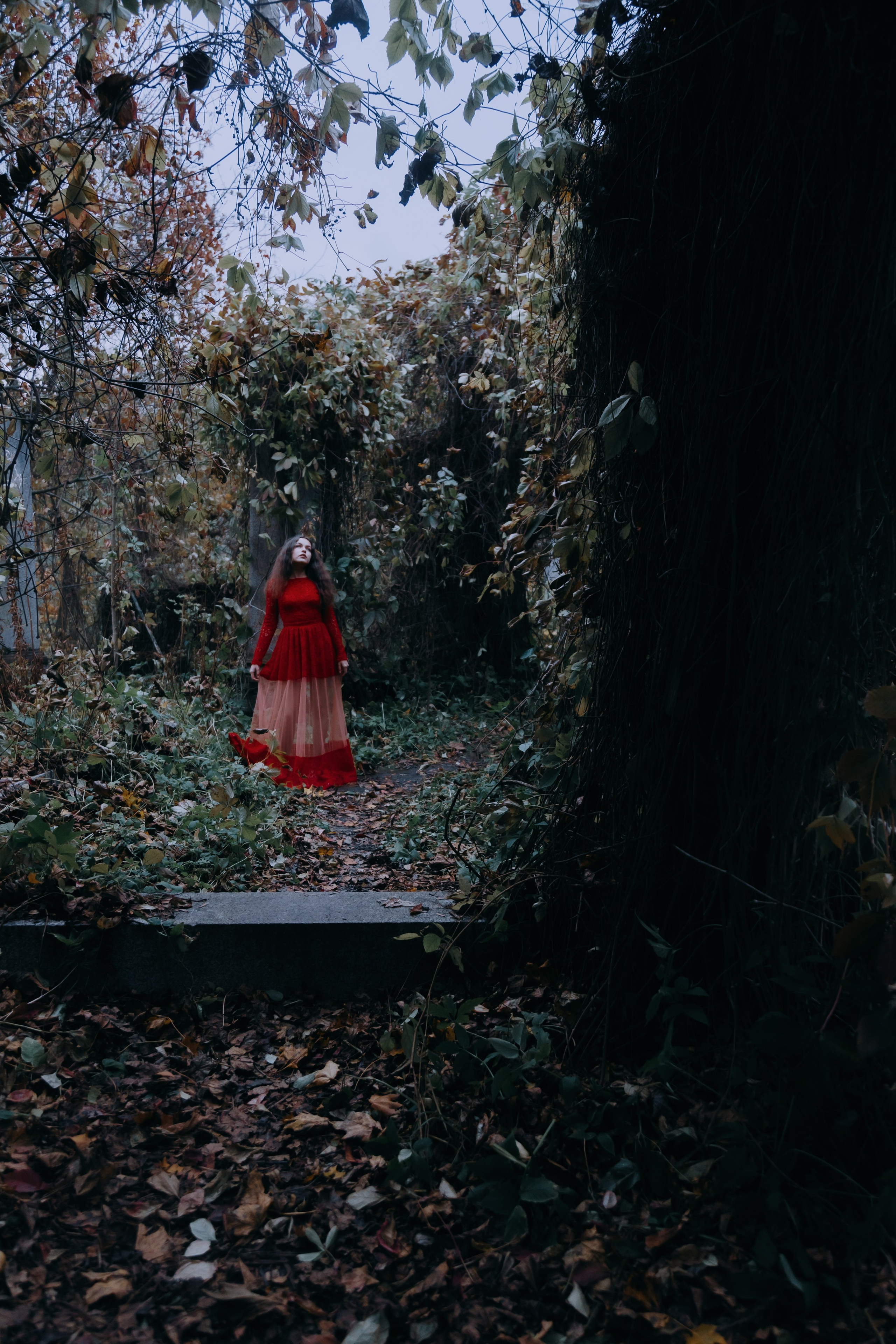 В заброшенной усадьбе. Креатор Ольга Яш