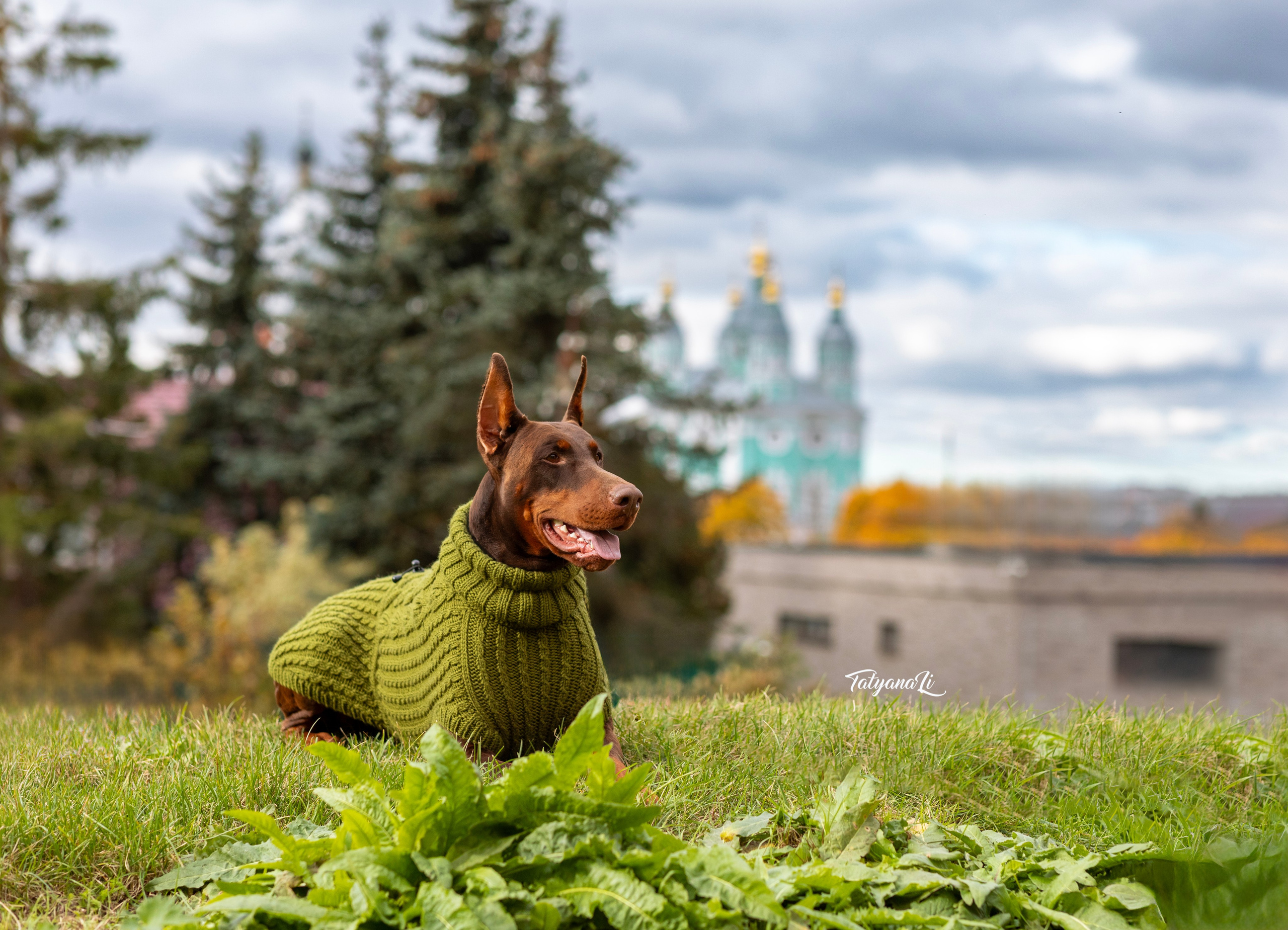 Фотограф — анималист Татьяна Ли