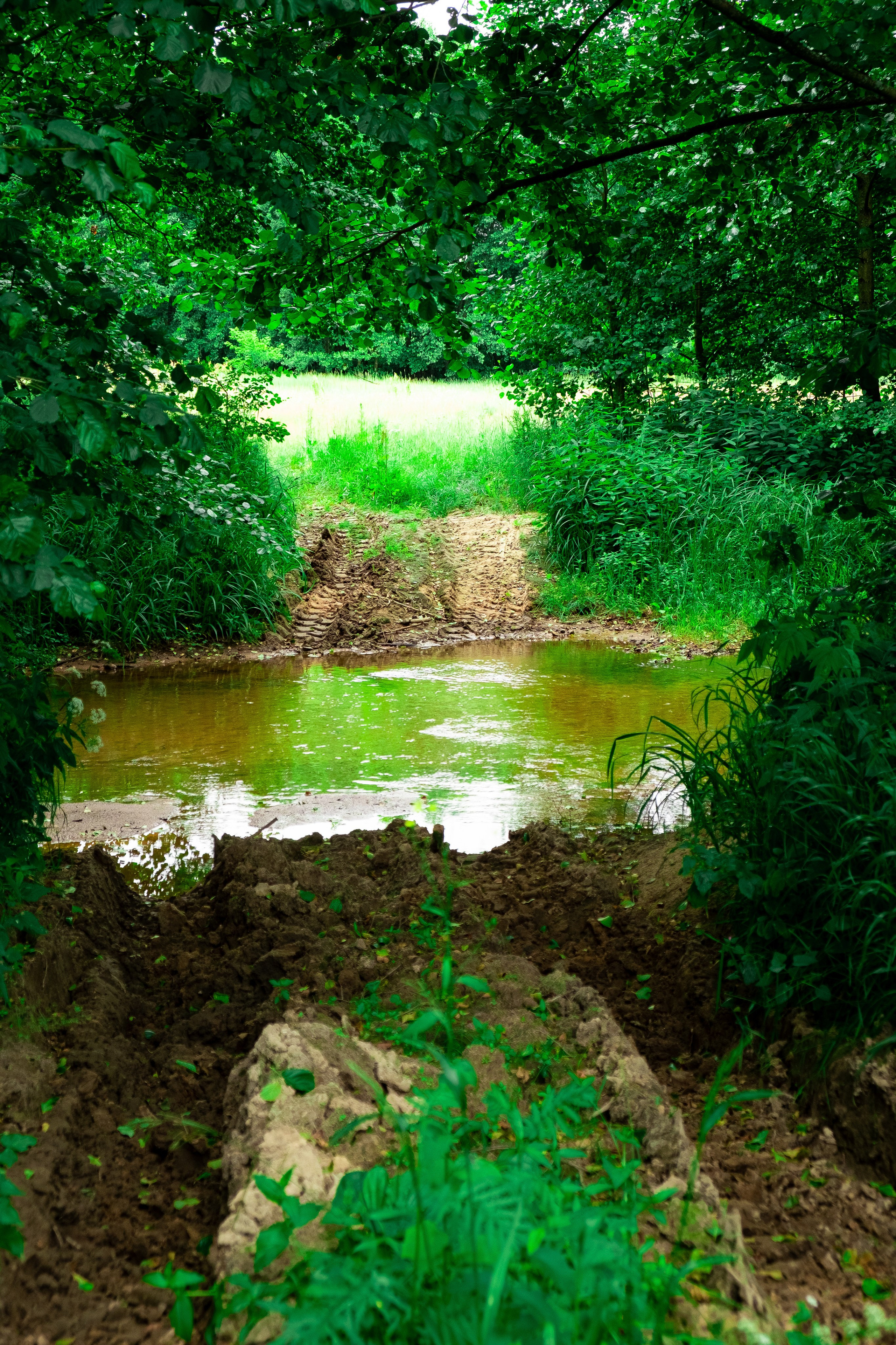Краснослободский район. Село Старое Синдрово. Кинокомиссия Республики Мордовия