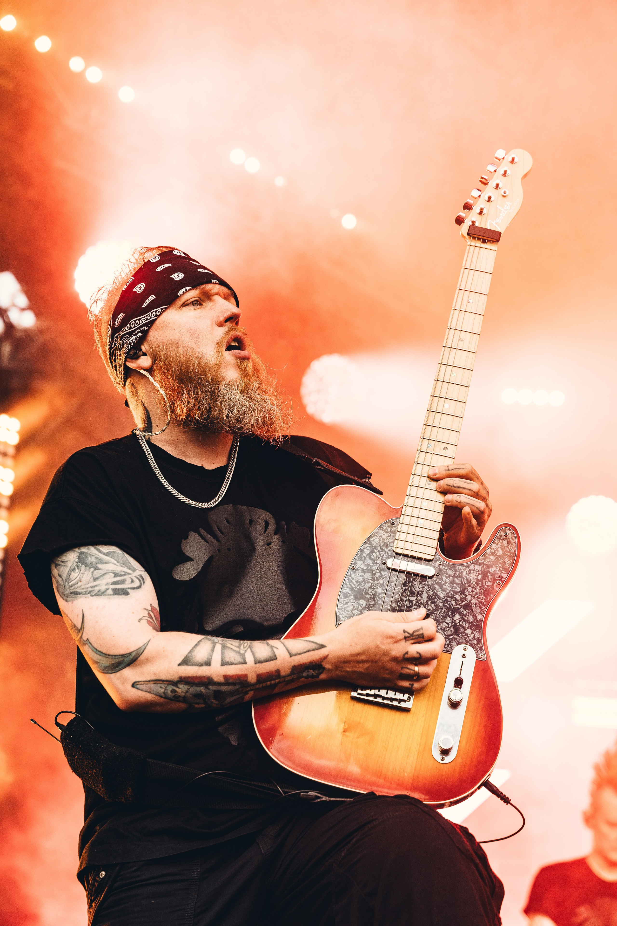 План Ломоносова. Репортажный Фотограф Александр Казин