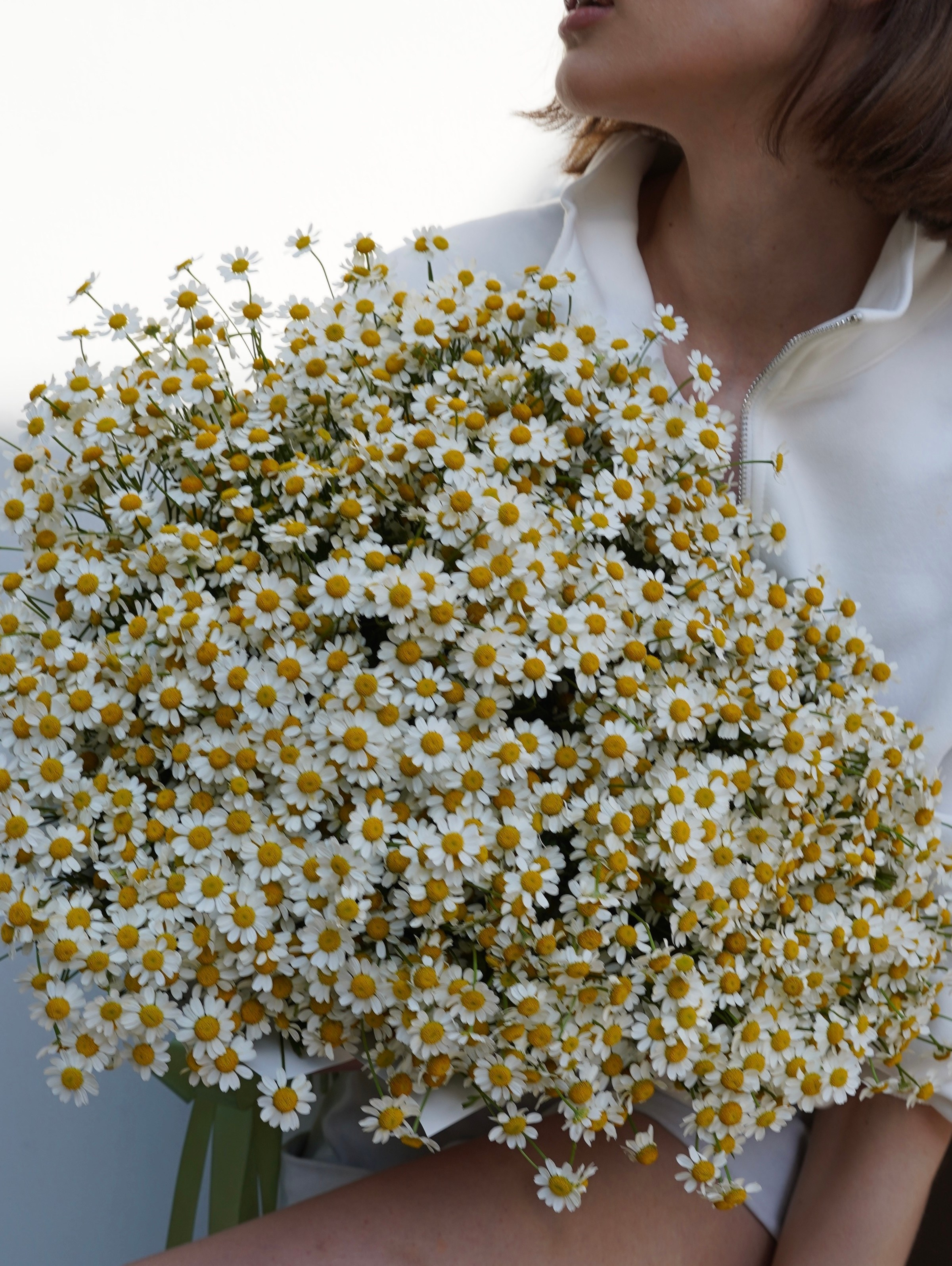 Neoflower. NOIRELLE production