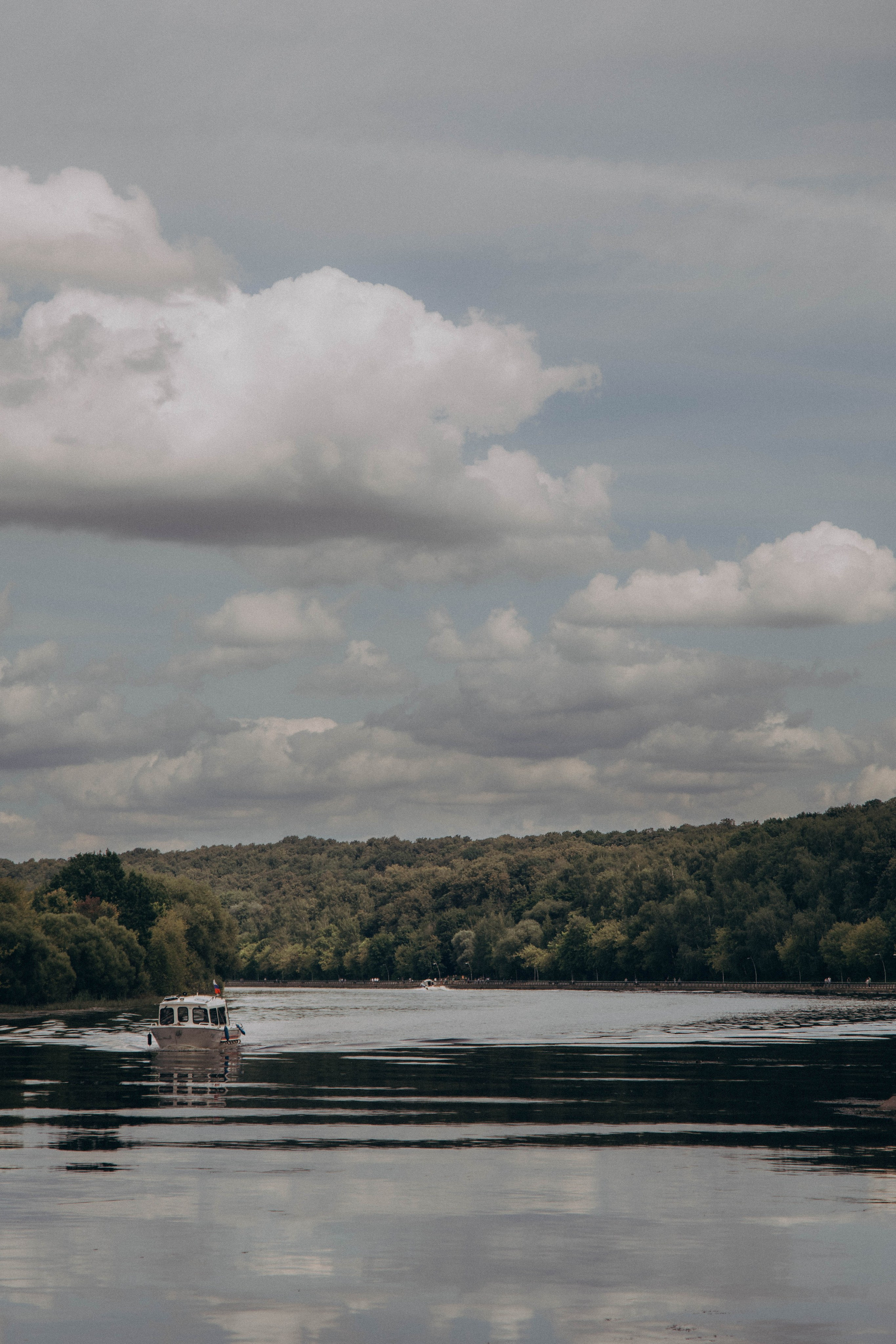 Юлия — лесная нимфа. Фотограф lifestylе в Москве Пшеничная Анастасия