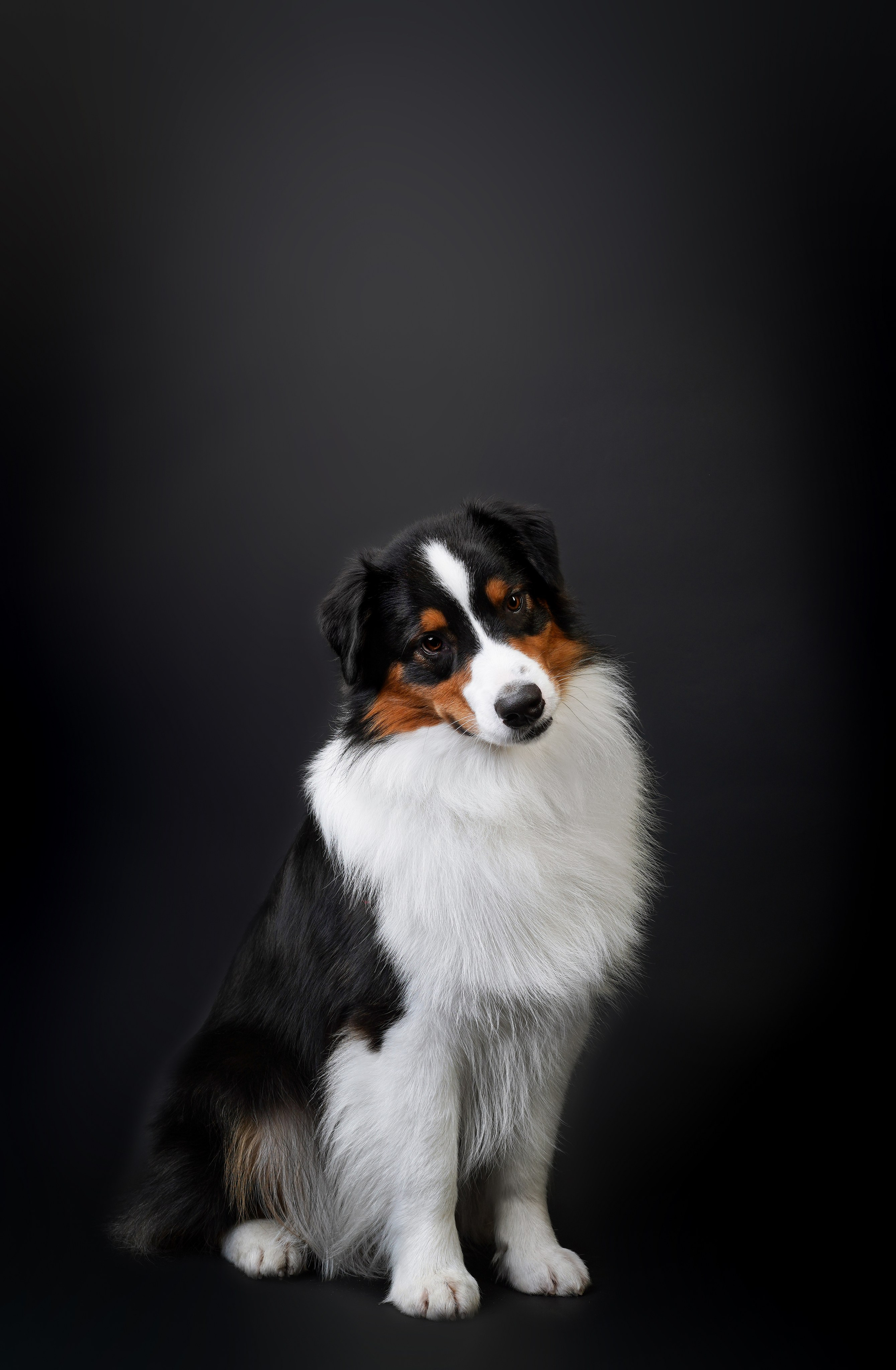 Аусси Бэст. Фотограф-анималист в Санкт-Петербурге Яна Мартынова