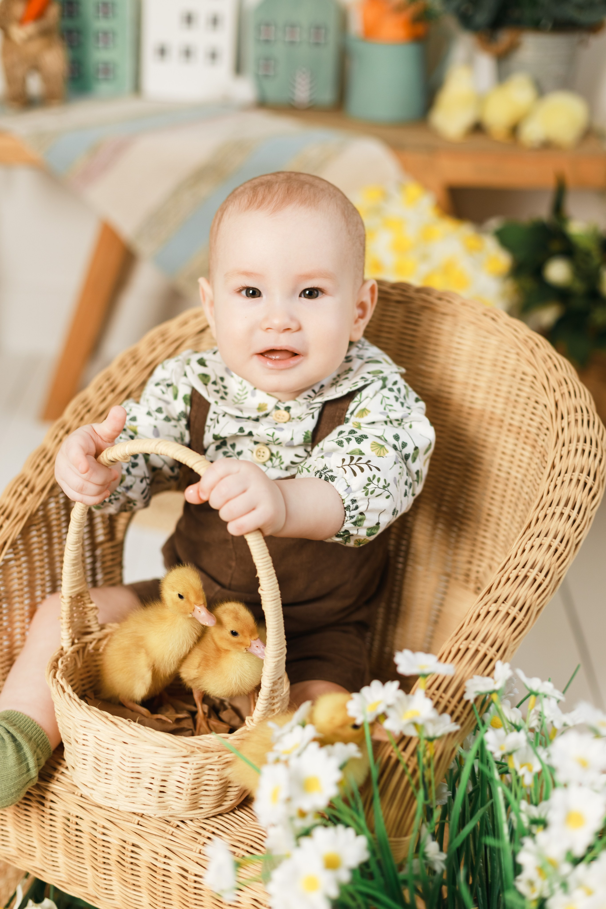 Фотосессия с утятами в Краснодаре