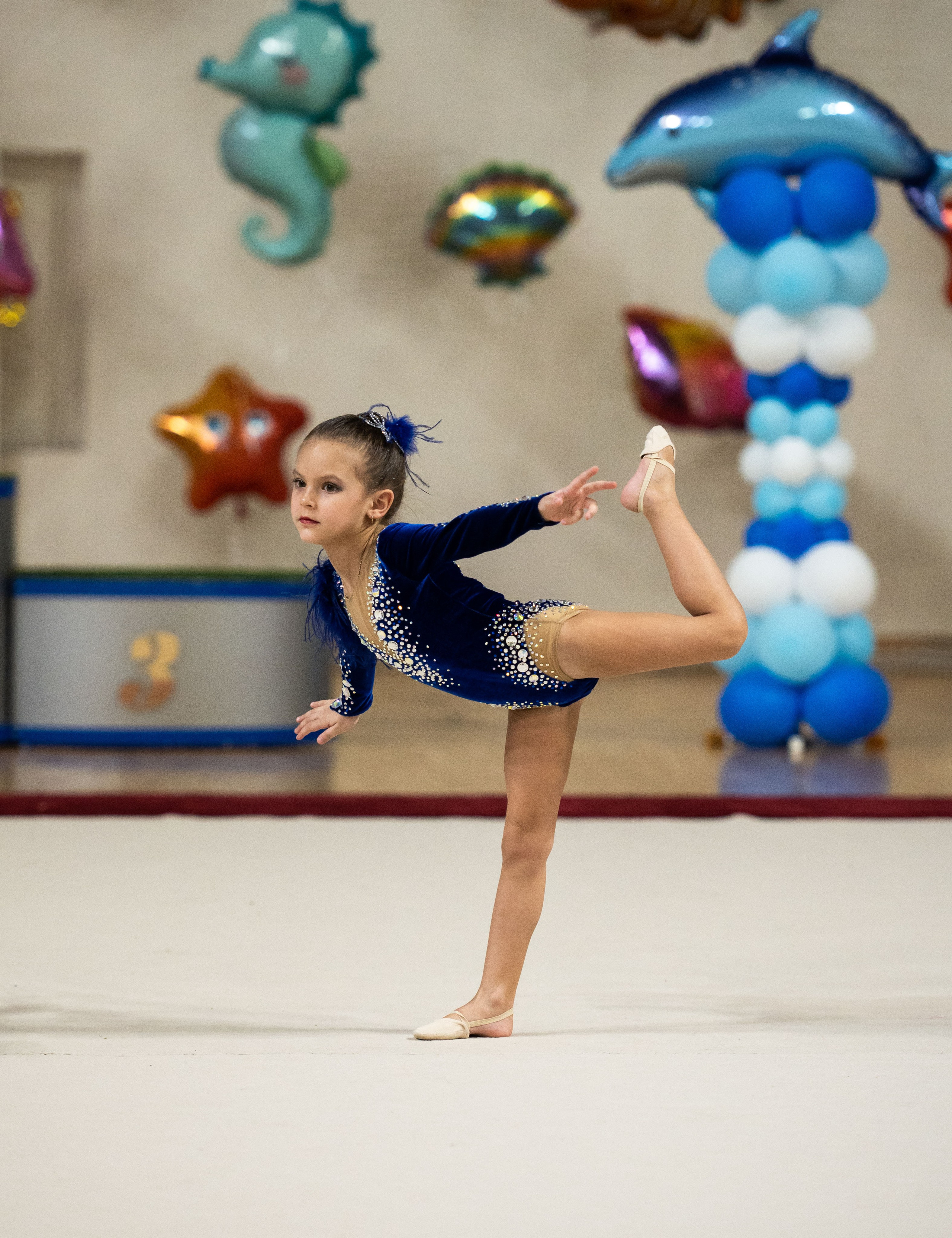 Турнир по художественной гимнастике «Кроха» г. Озеры, февраль 2024. Спортивный фотограф в Туле и Тульской области. Файсханова Фото Спорт