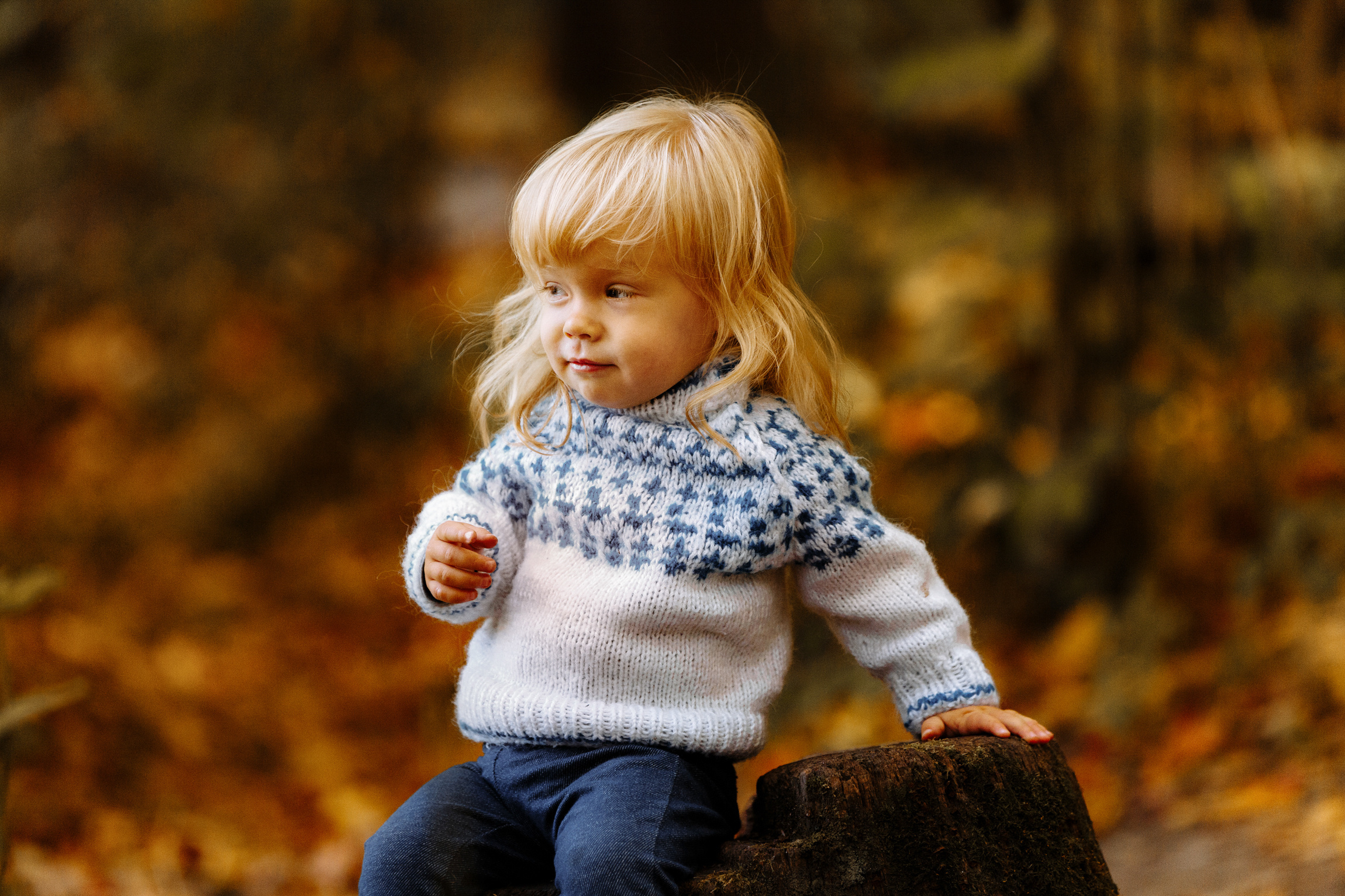 Фотограф Анна Руданова Осенняя фотопрогулка. Саша , Алена и Алиса