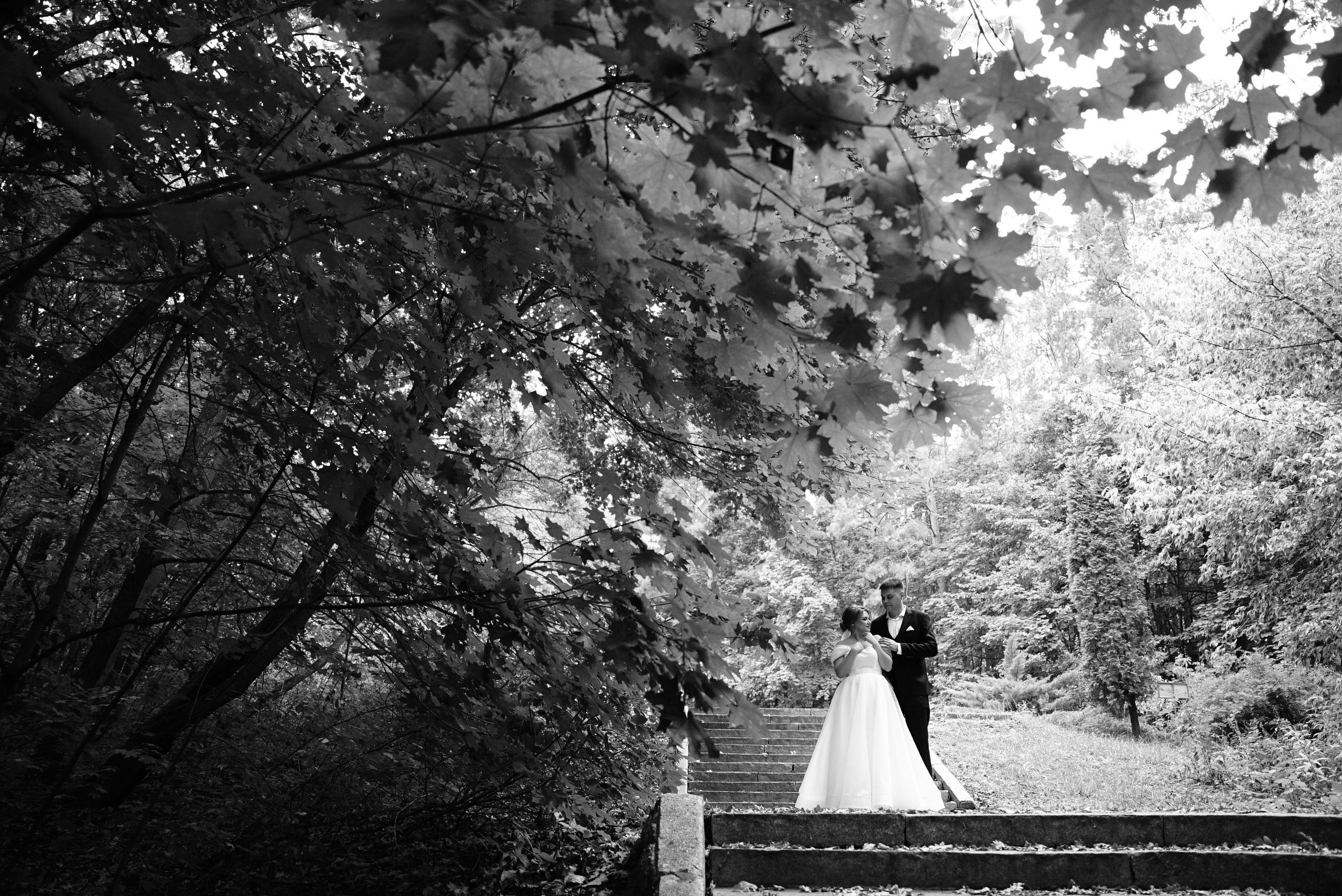 Андрей и Виктория. Свадебный фотограф в Самаре Анна Ковалева