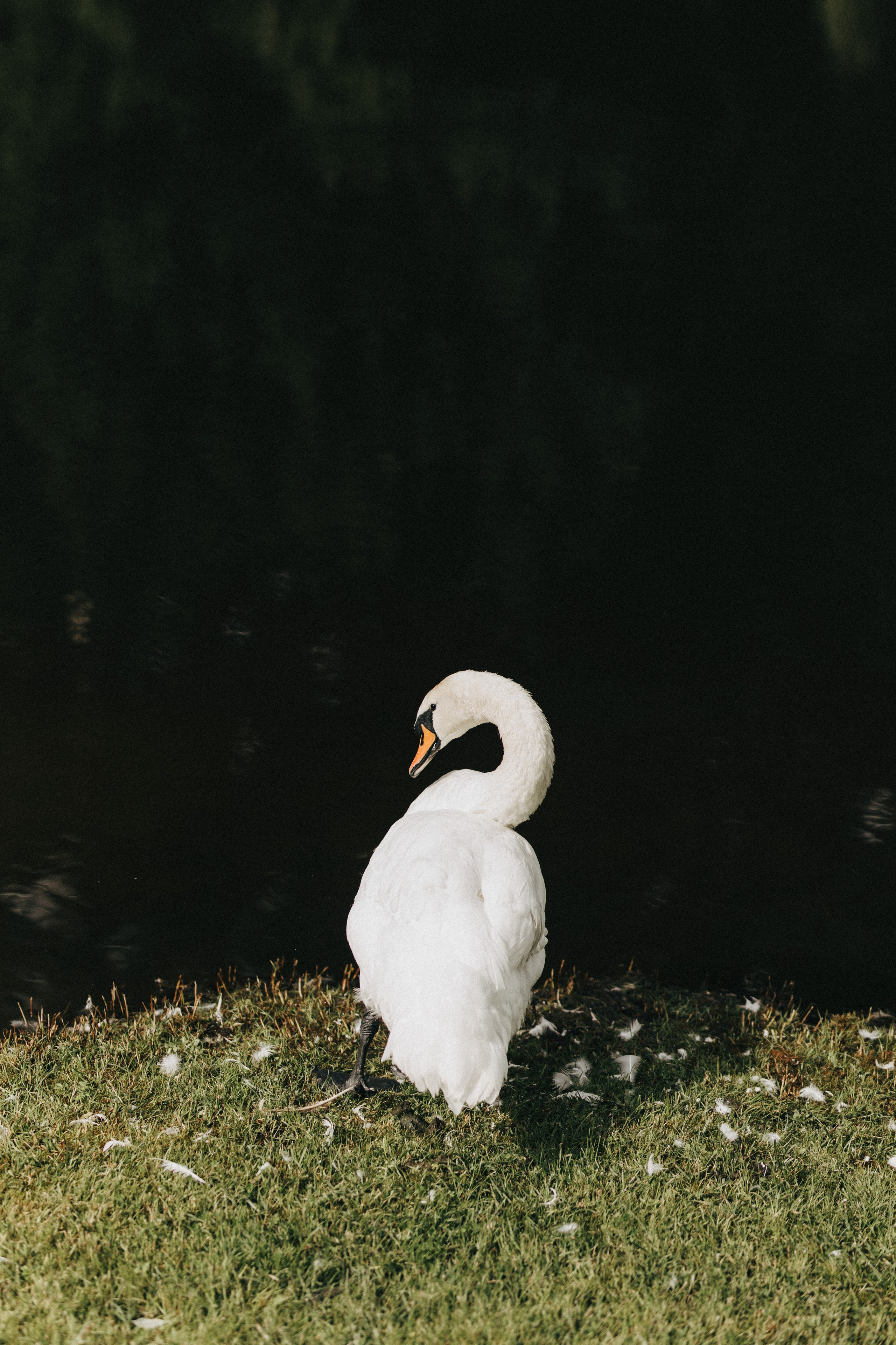 Александра и Илья. Свадебный и портретный фотограф в Калининграде и Москве Марк Юдинцев