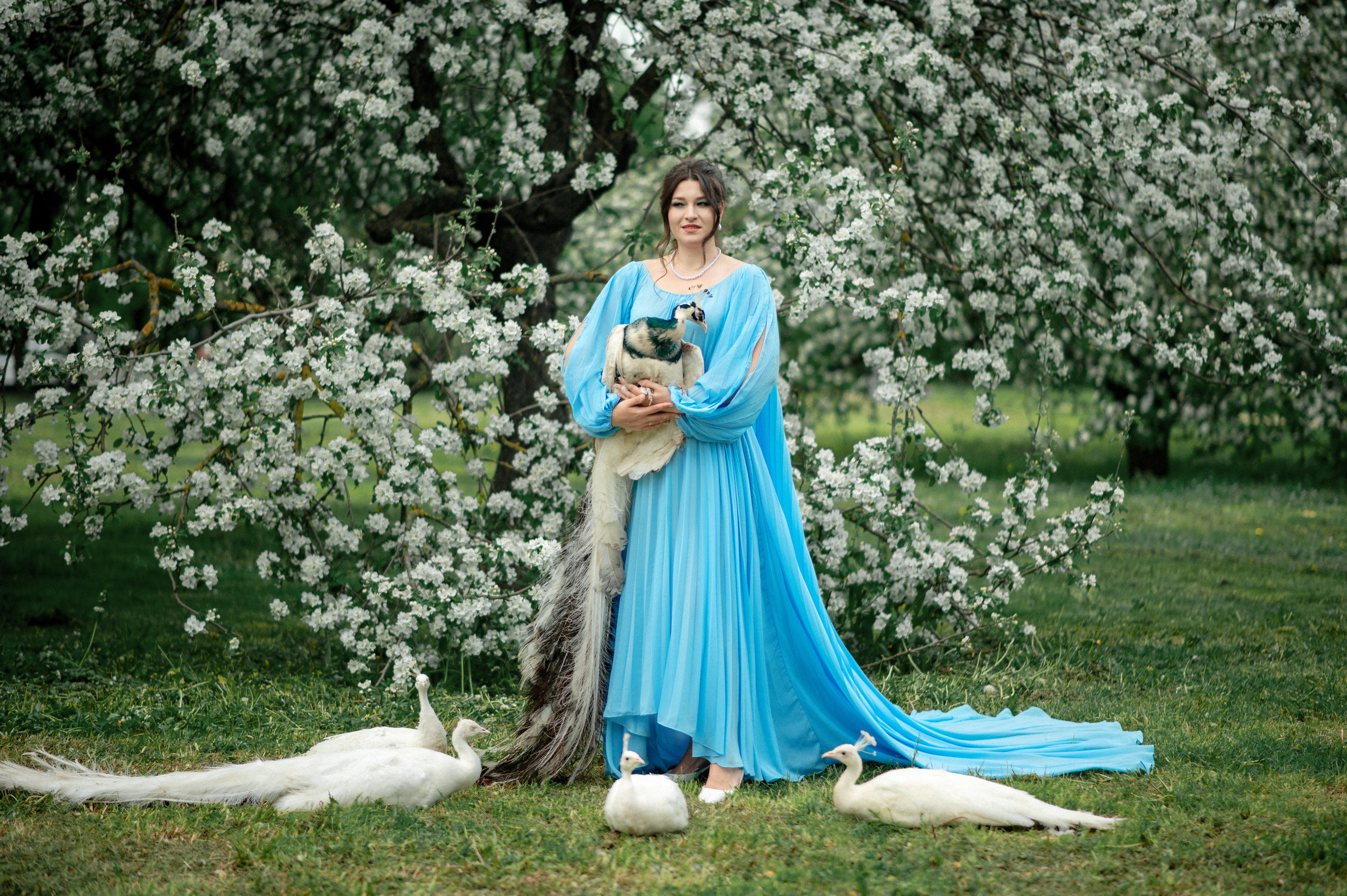 Алена. Съемка с павлинами. Фотограф в Санкт-Петербурге Ковалева Елизавета