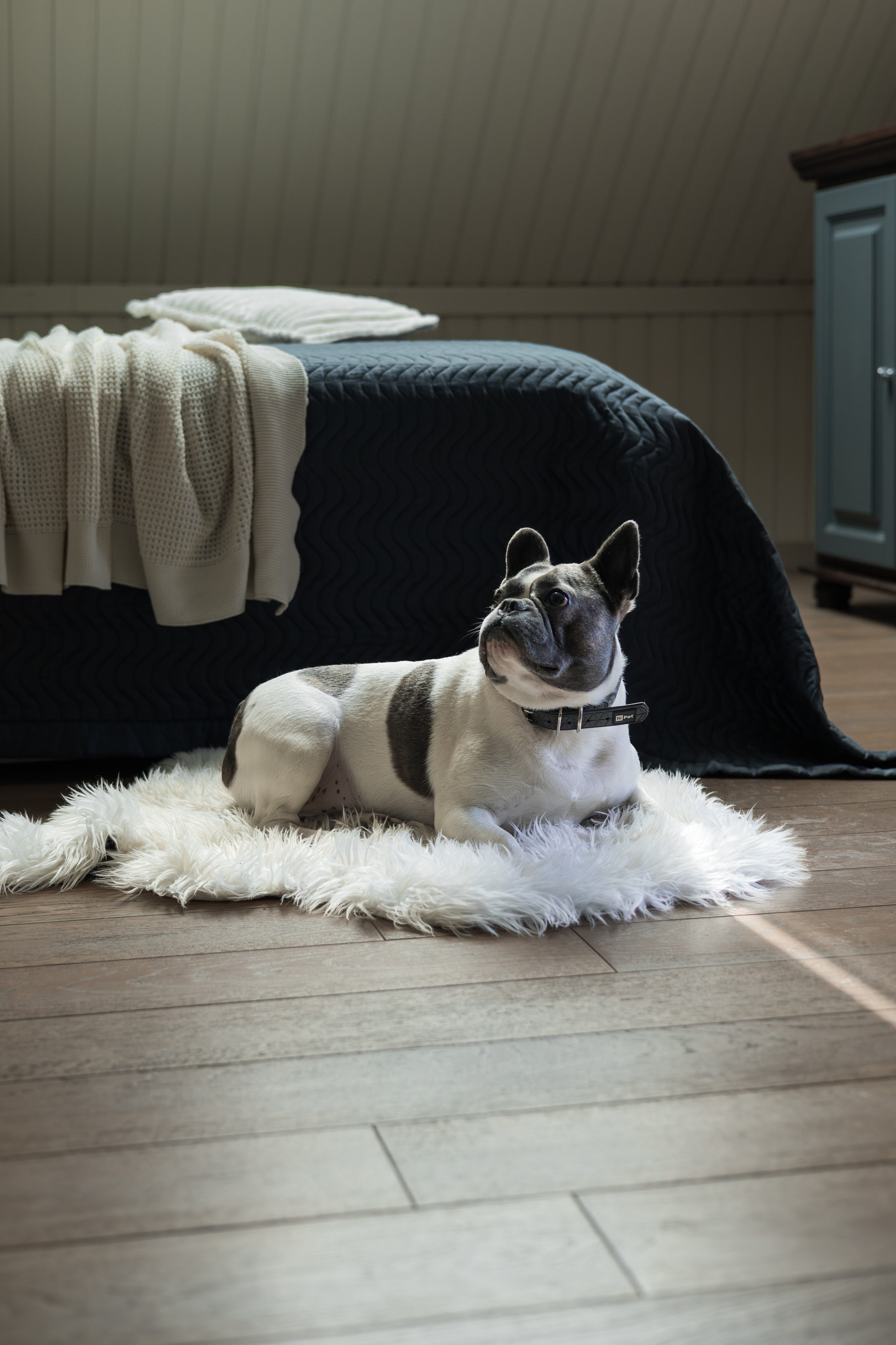 Контент-съемка (для профессионалов). Фотограф Антонина Знак. Семейные фотосессии. Москва и МО