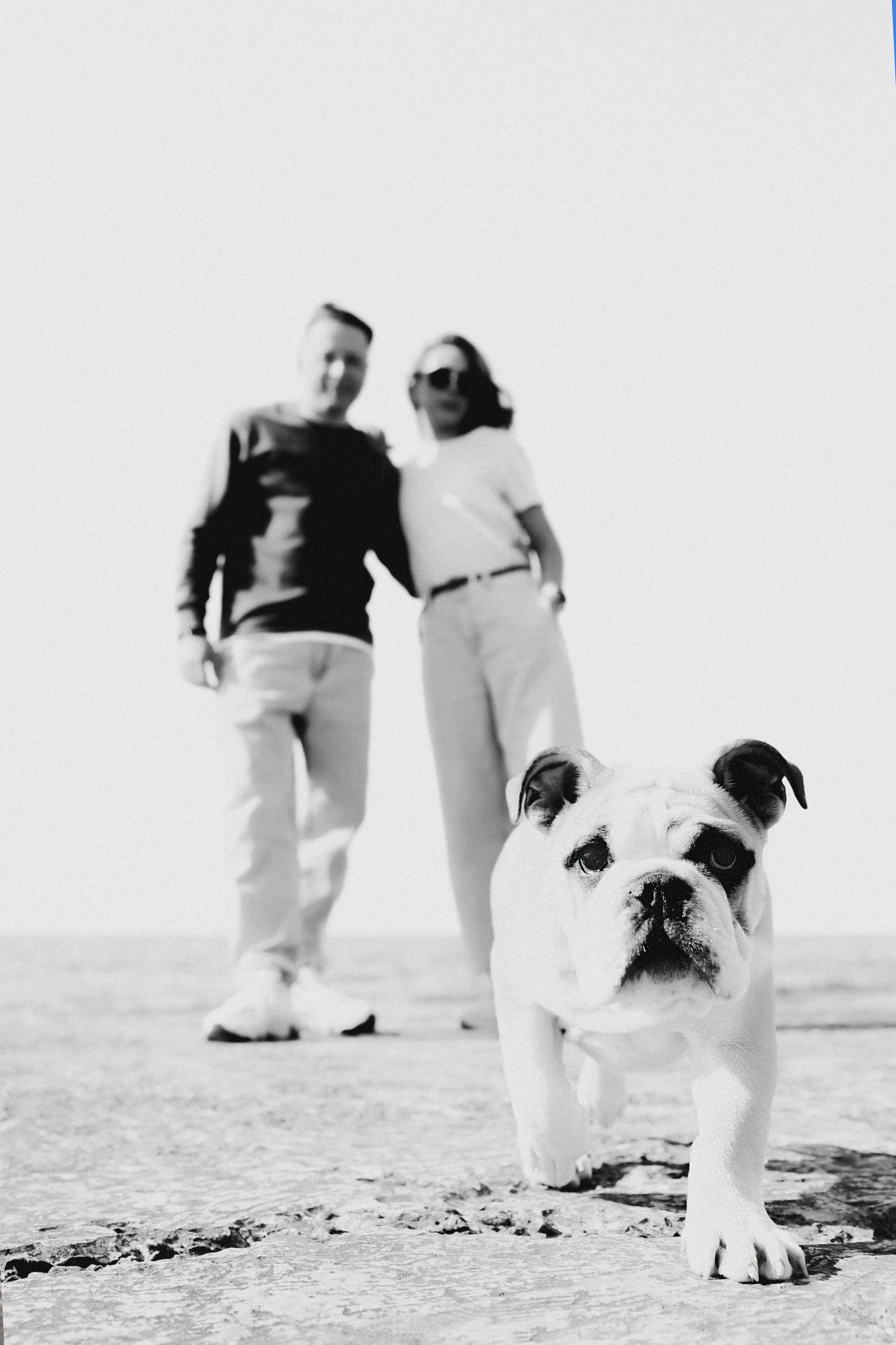 Новый член семьи. Withlovent | Фотограф в Севастополе