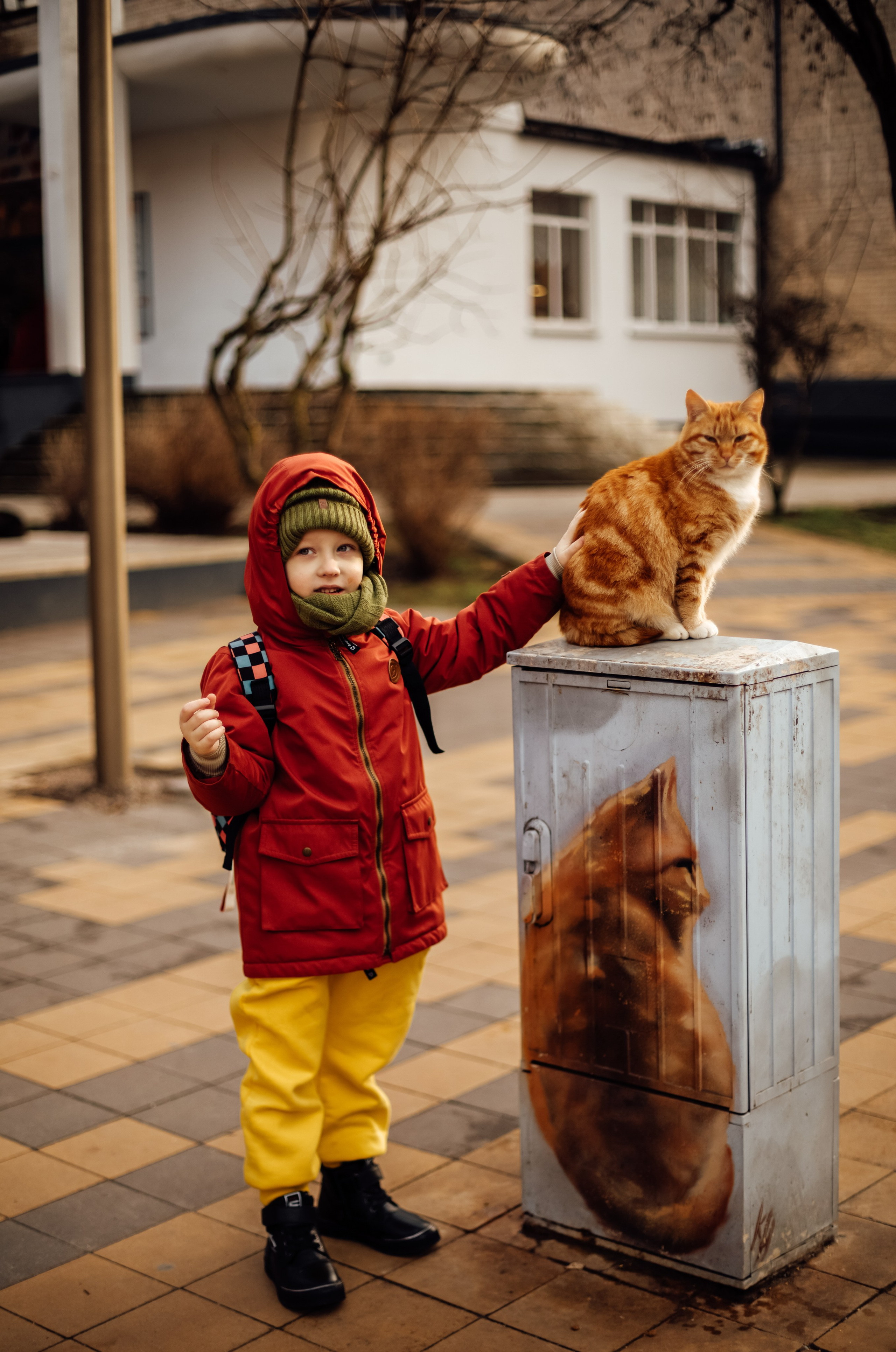 Зеленоградск. Https://malovafoto.ru