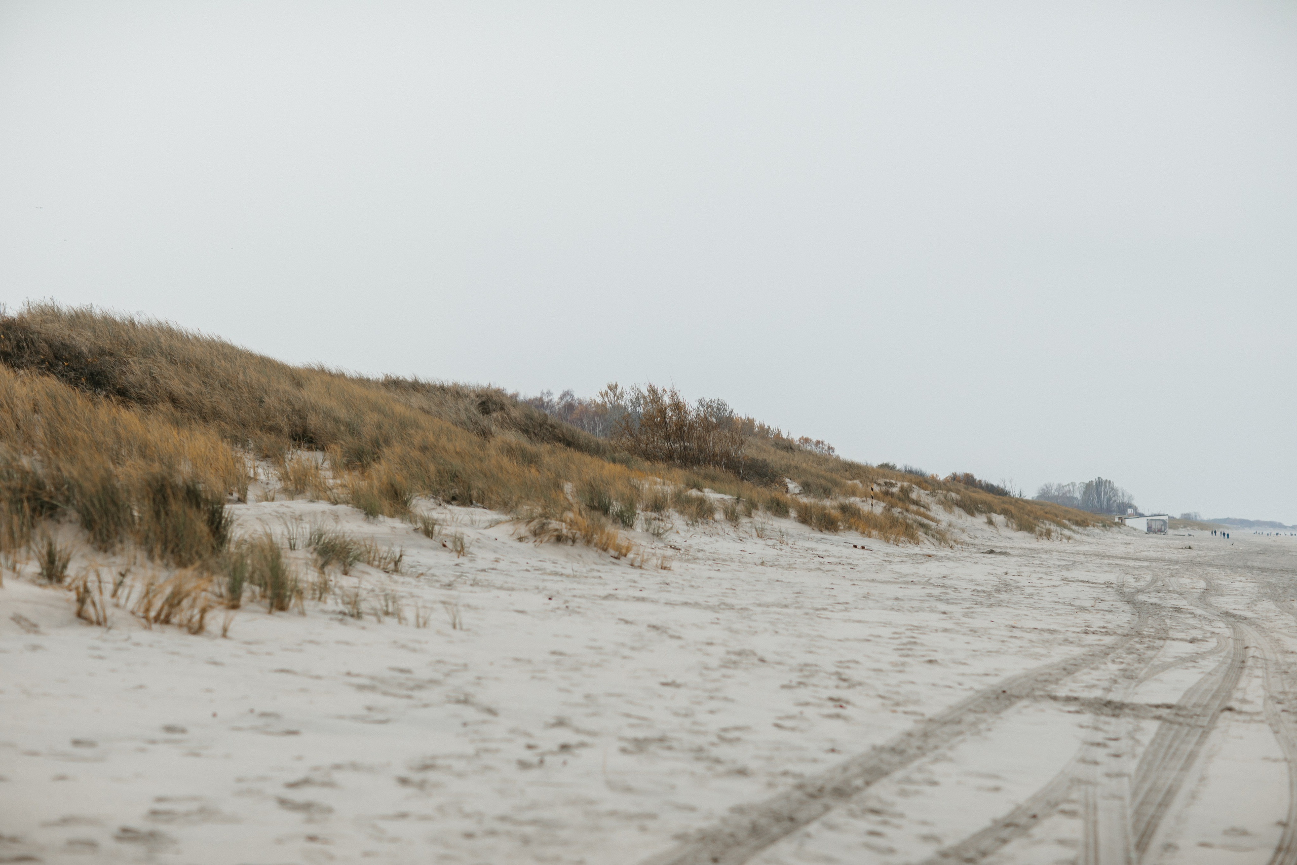 Фотосессия в Балтийске. Https://malovafoto.ru