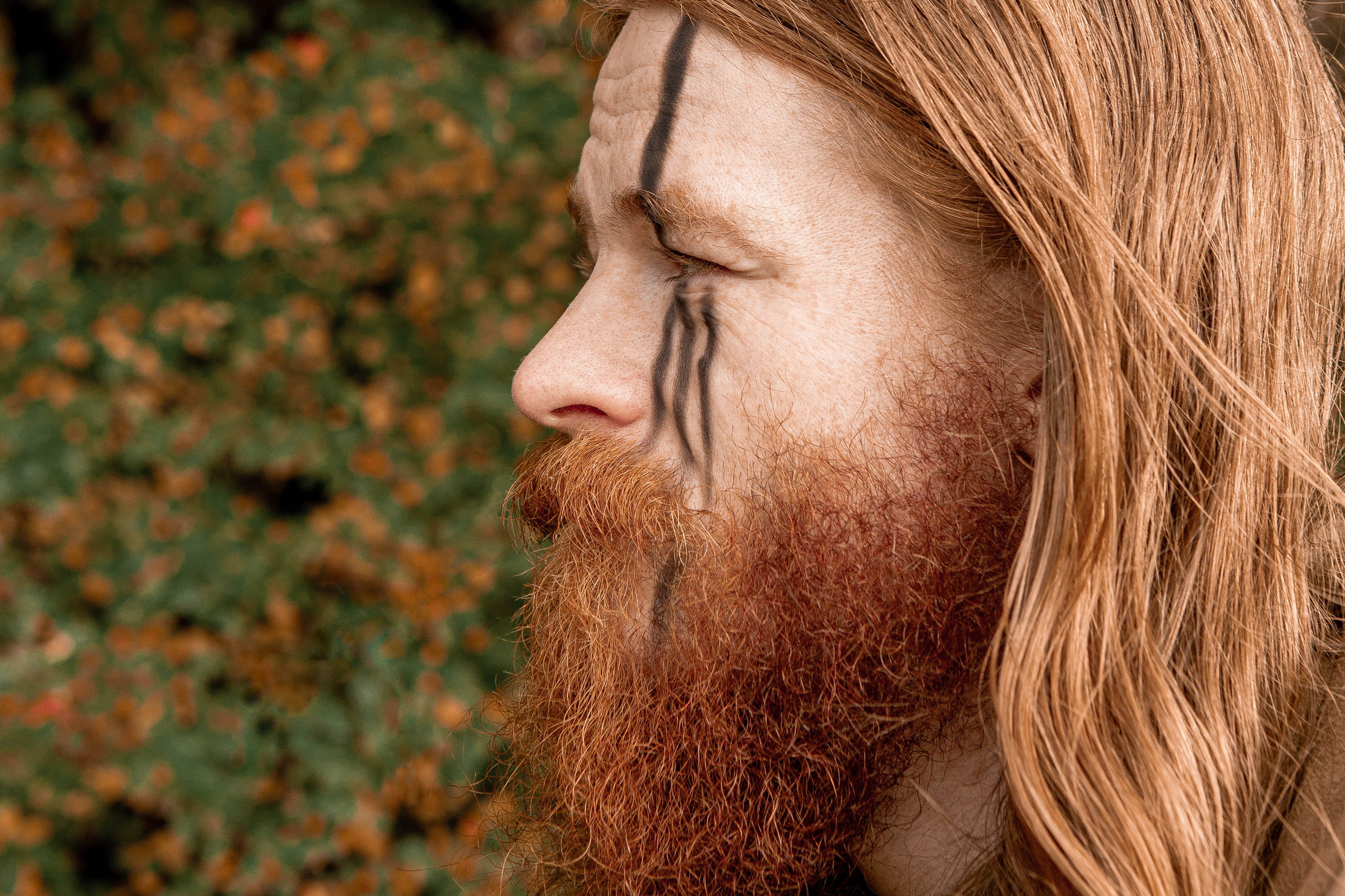 Волшебный лес. Фотограф Екатерина Голицына