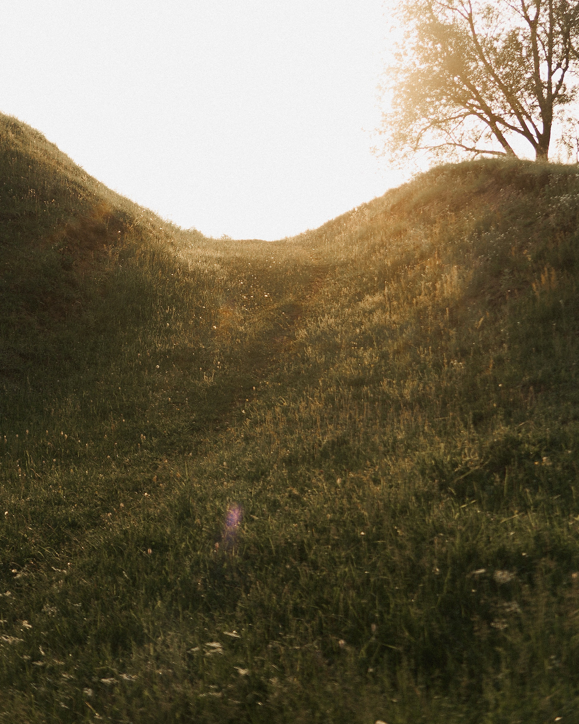 Darya Nikita. Индивидуальная и семейная фотосессия в Чебоксарах Оксана Русакова