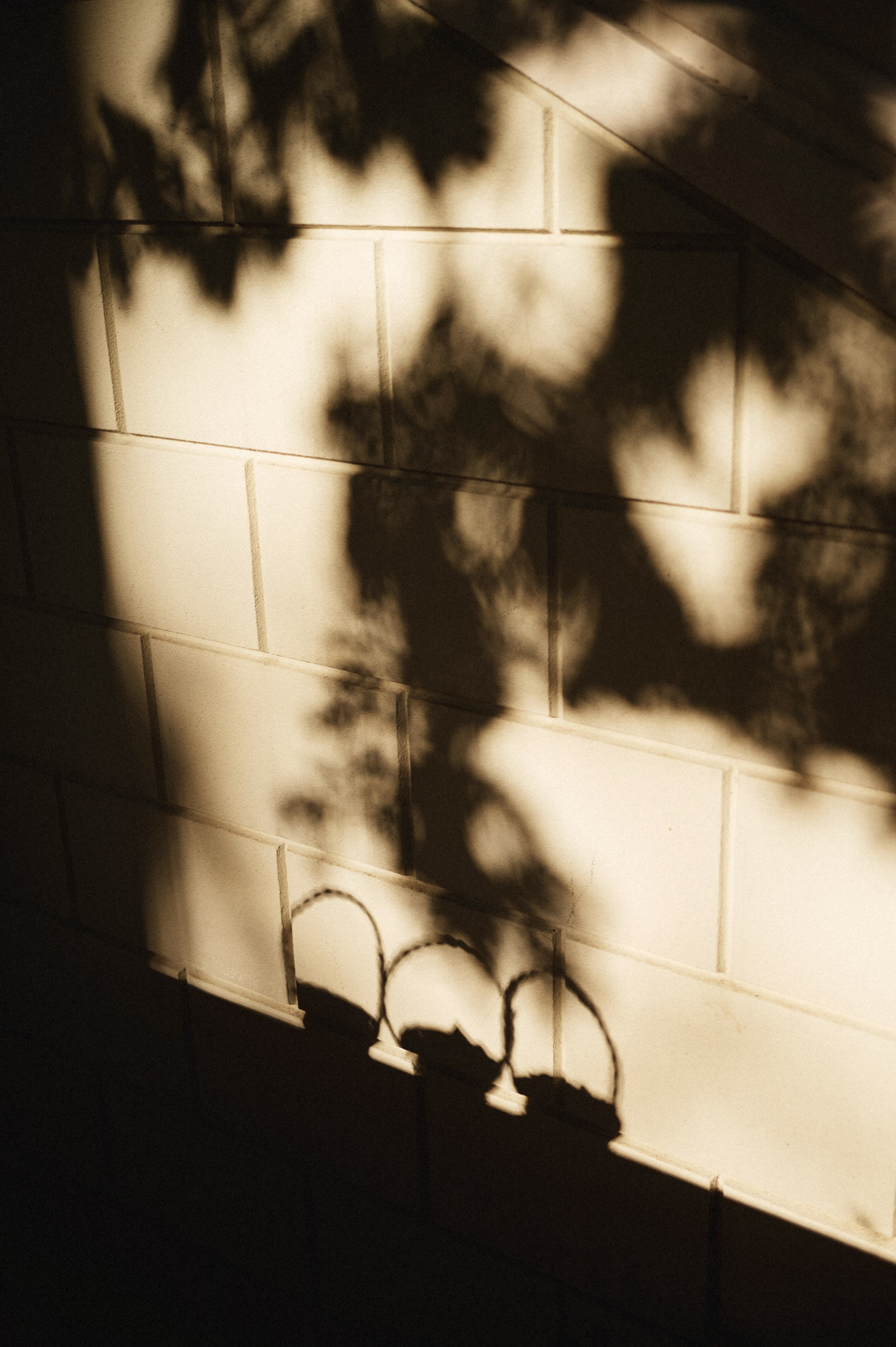 Maximilian&Polina. Sasha&Karina Photographers