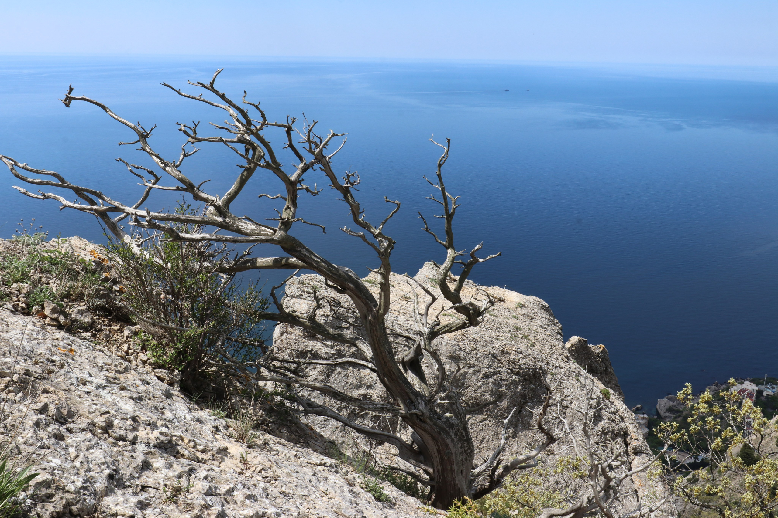 Крым. ЮБК (Севастополь, Кастрополь, Ялта). Май 2023. Путешественник-фотограф из Санкт-Петербурга Татьяна Свистулина