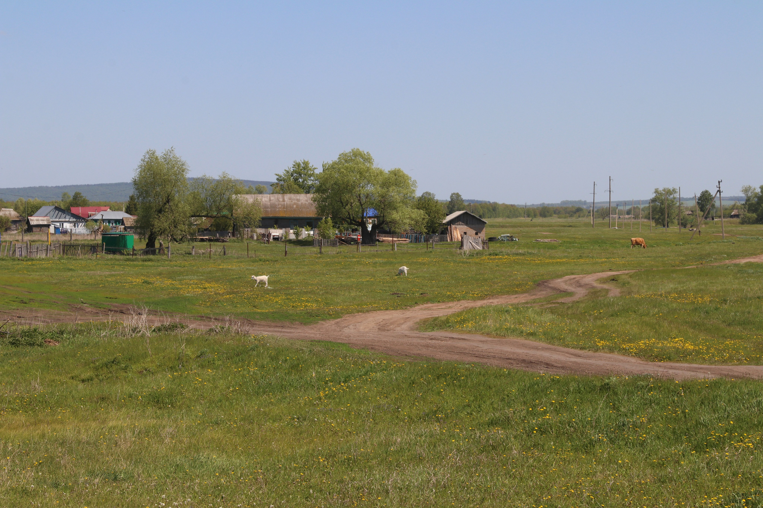 Велопоход Уфа — Мелеуз. Май 2024. Путешественник-фотограф из Санкт-Петербурга Татьяна Свистулина