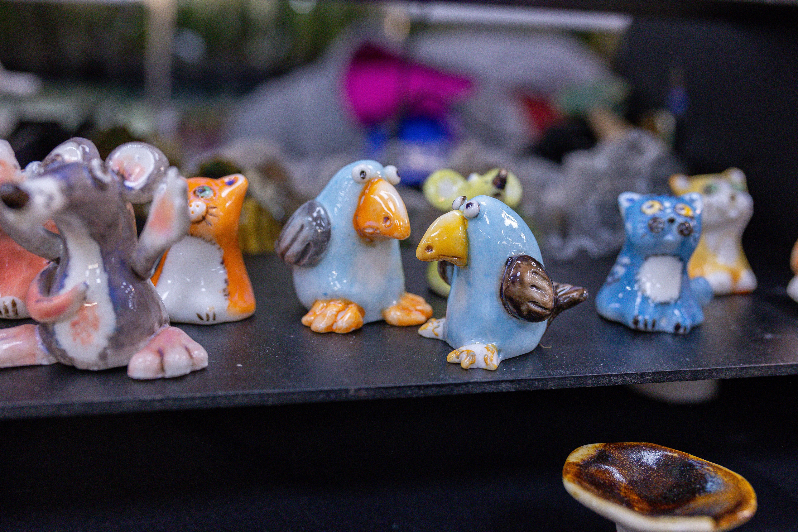 Орхидиум 12.2025. Александра Куликова фотограф, Москва