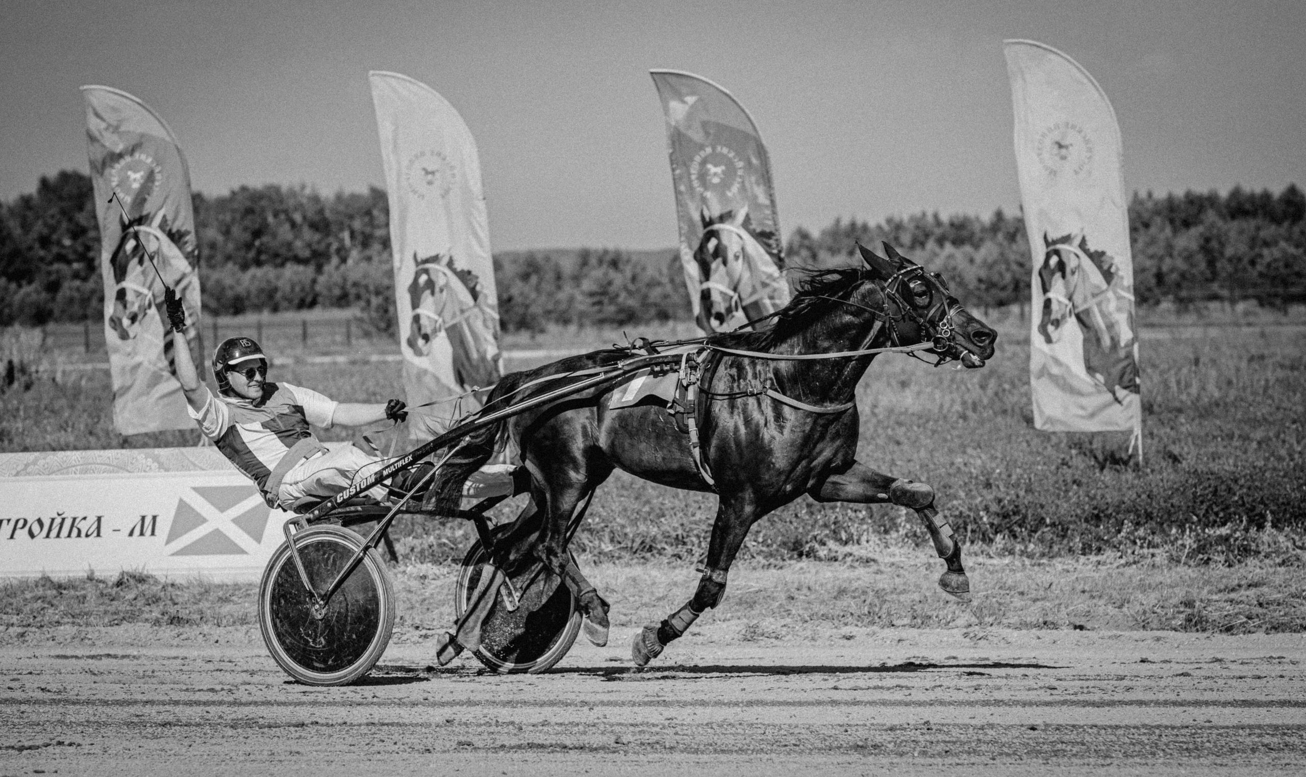 Рысистые бега. Главная